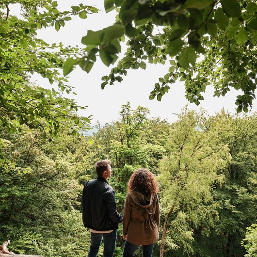 Luxushotel Seezeitlodge: Lassen Sie sich begeistern! Paar steht im Wald und blickt auf Bäume und Natur
