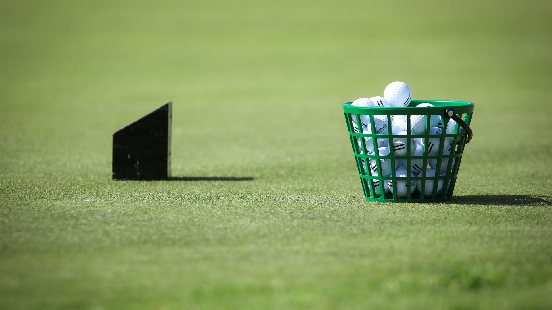 Seezeitlodge: Lieblingsgeschichten Grüner Korb voller Golfbälle auf Gras mit schwarzem Dartpfeil im Hintergrund