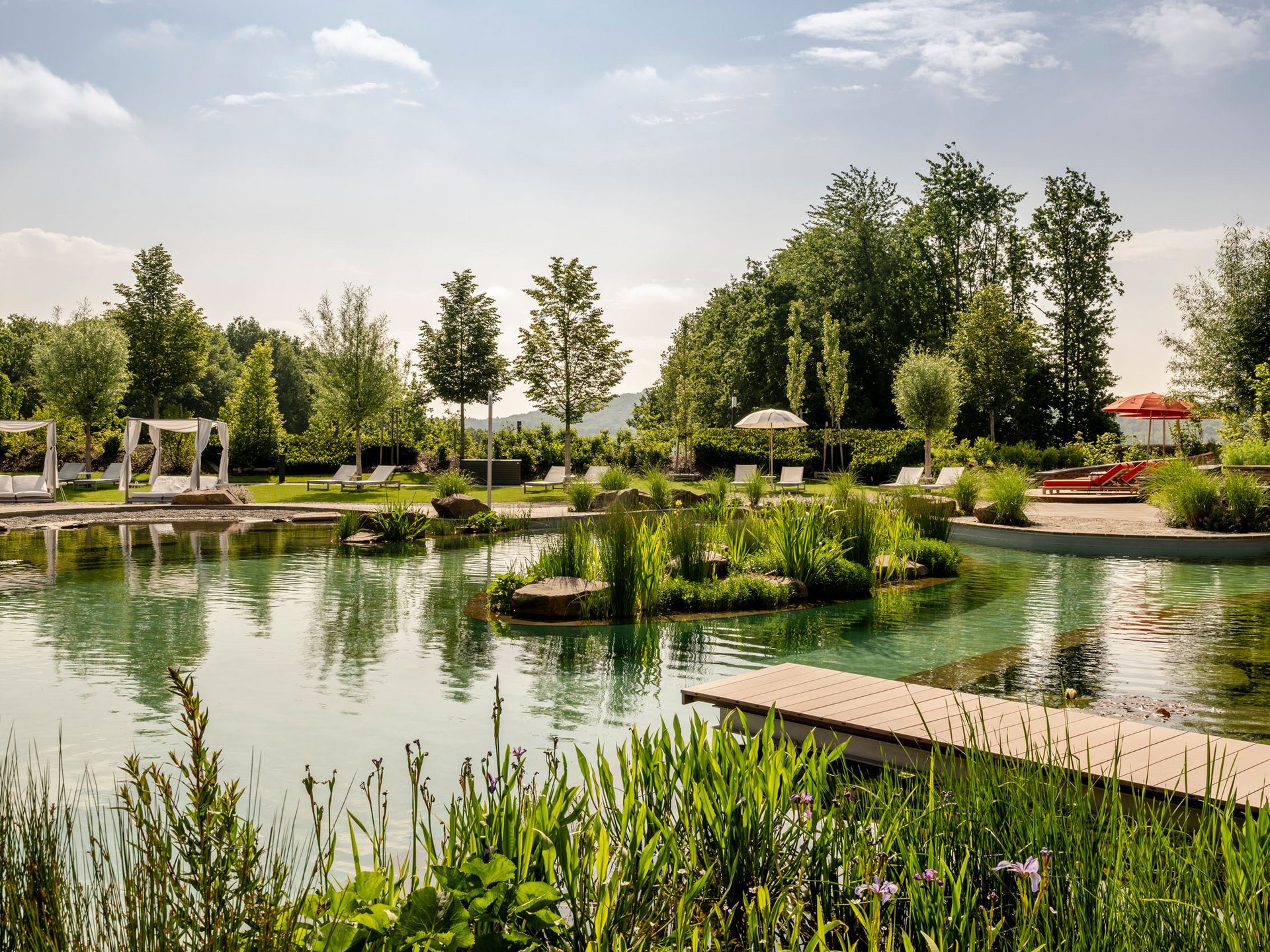 Seezeitlodge : Galerie photos Bassin naturel avec chaises longues et arbres sous un ciel ensoleillé
