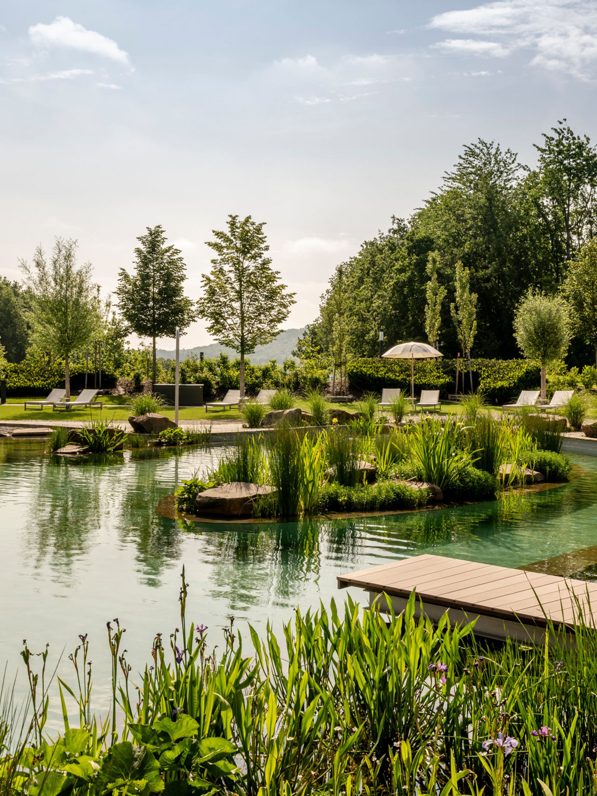 Seezeitlodge : Galerie photos Bassin naturel avec chaises longues et arbres sous un ciel ensoleillé