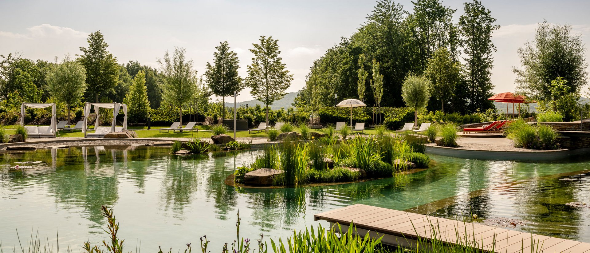 Seezeitlodge: Bildergalerie Natürlicher Schwimmteich mit Liegestühlen und Bäumen an einem sonnigen Tag