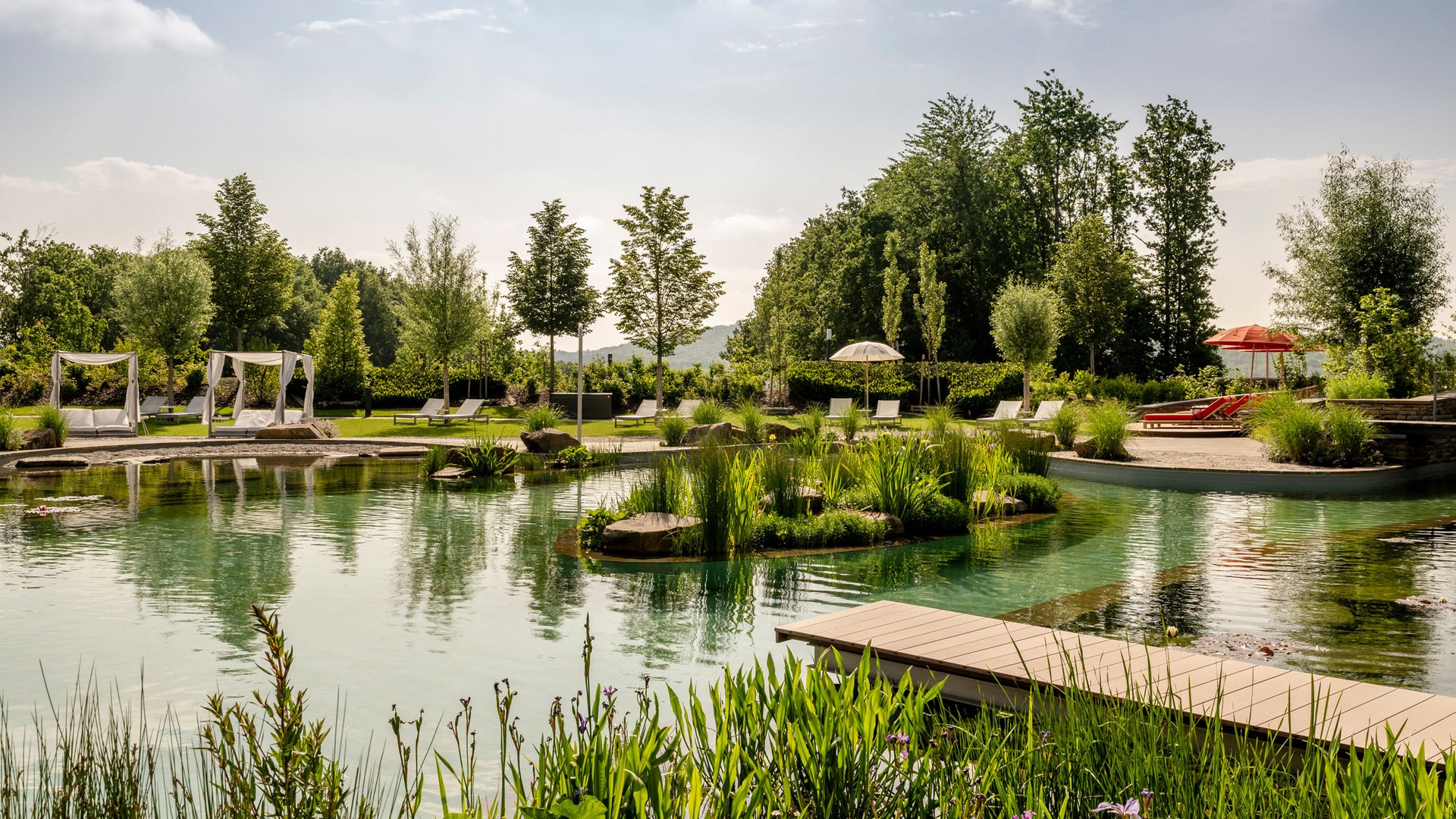 Seezeitlodge: Bildergalerie Natürlicher Schwimmteich mit Liegestühlen und Bäumen an einem sonnigen Tag