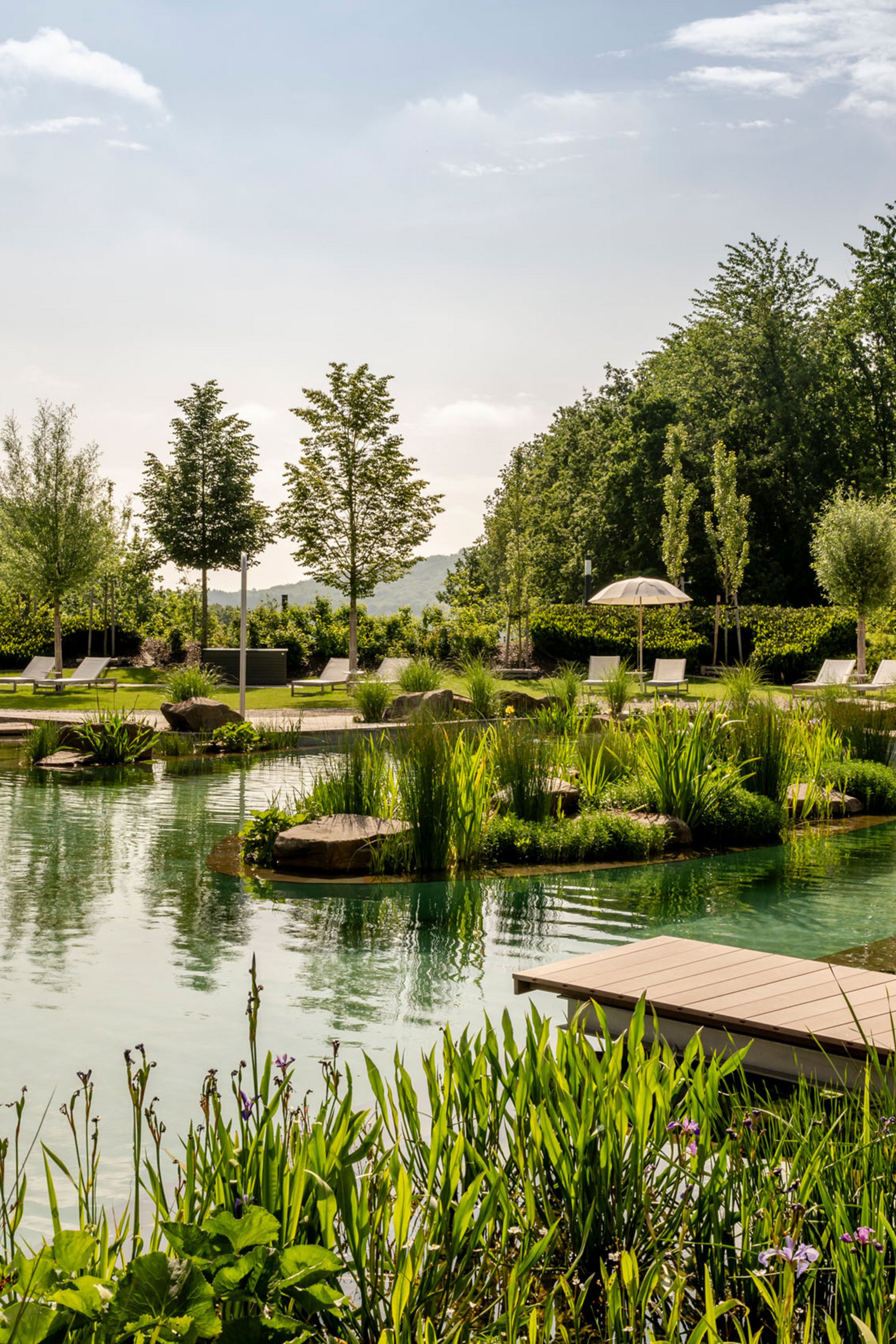 Seezeitlodge : Galerie photos Bassin naturel avec chaises longues et arbres sous un ciel ensoleillé