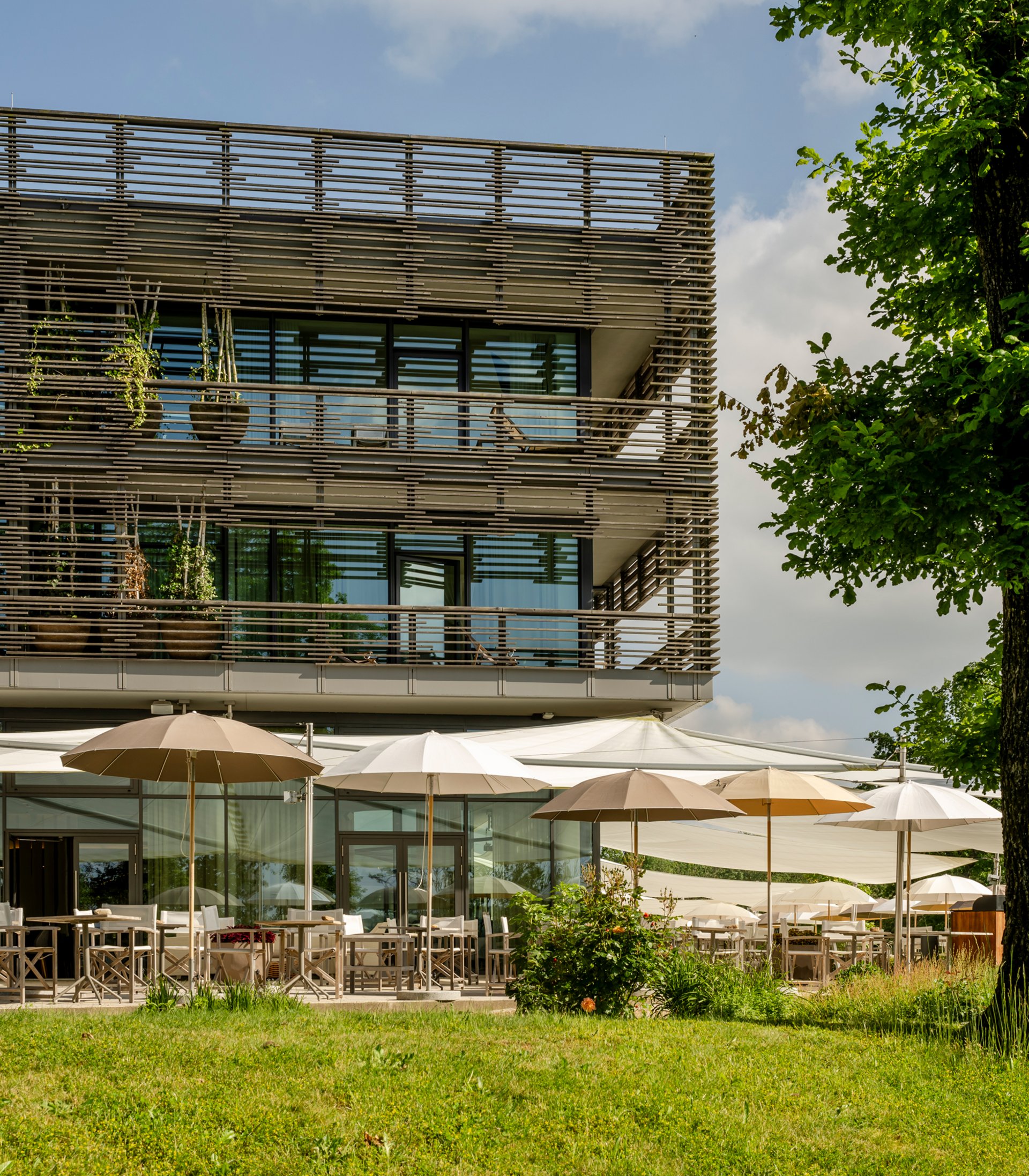 Press: Seezeitlodge on Lake Bostalsee Modern building with terrace and umbrellas in a green area
