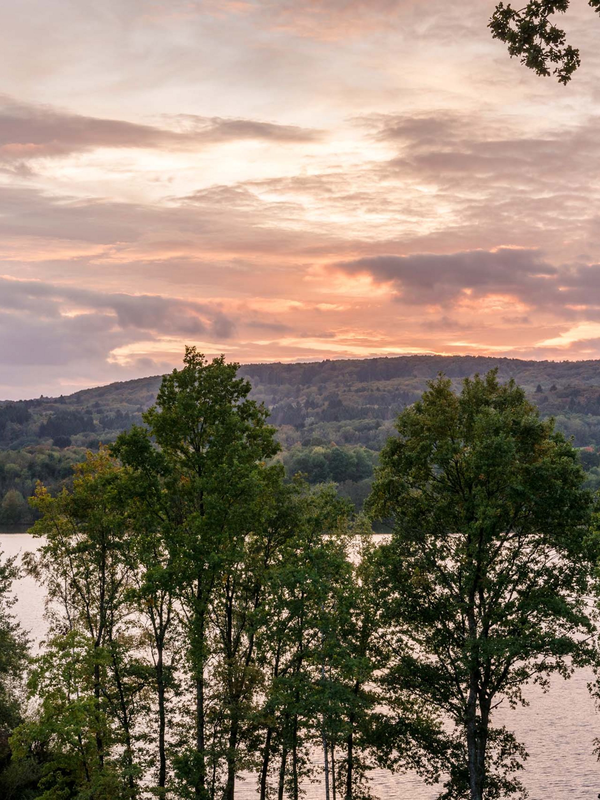 Seezeitlodge : Galerie photos Des arbres devant un lac au coucher du soleil sous un ciel nuageux
