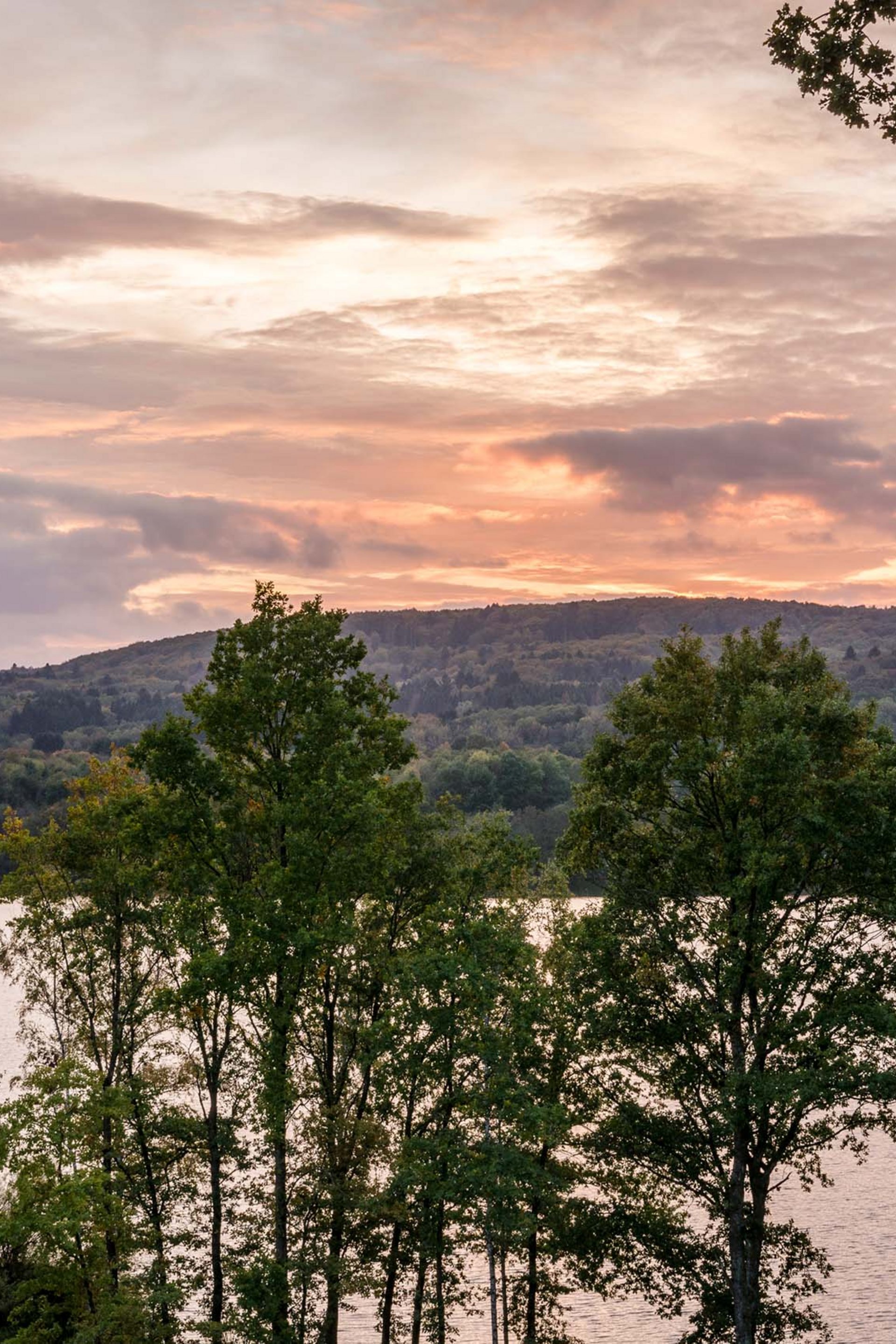 Seezeitlodge : Galerie photos Des arbres devant un lac au coucher du soleil sous un ciel nuageux