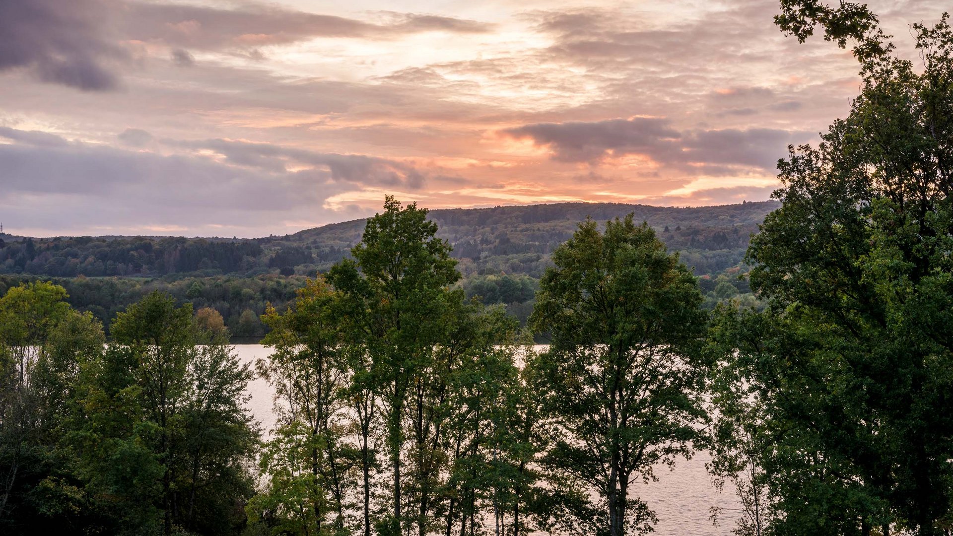 Urlaub am Bostalsee: die Highlights der Region Bäume vor einem See bei Sonnenuntergang mit einem bewölkten Himmel