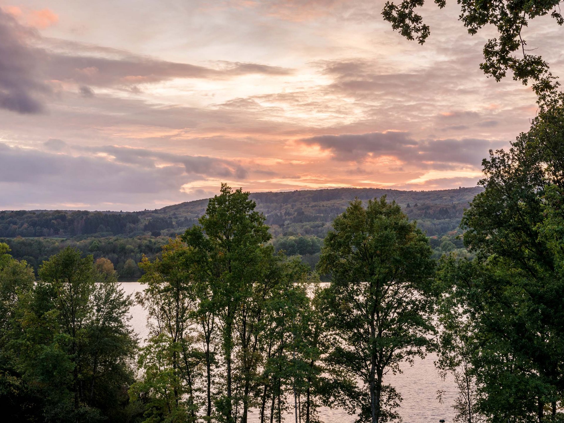 Seezeitlodge : Galerie photos Des arbres devant un lac au coucher du soleil sous un ciel nuageux