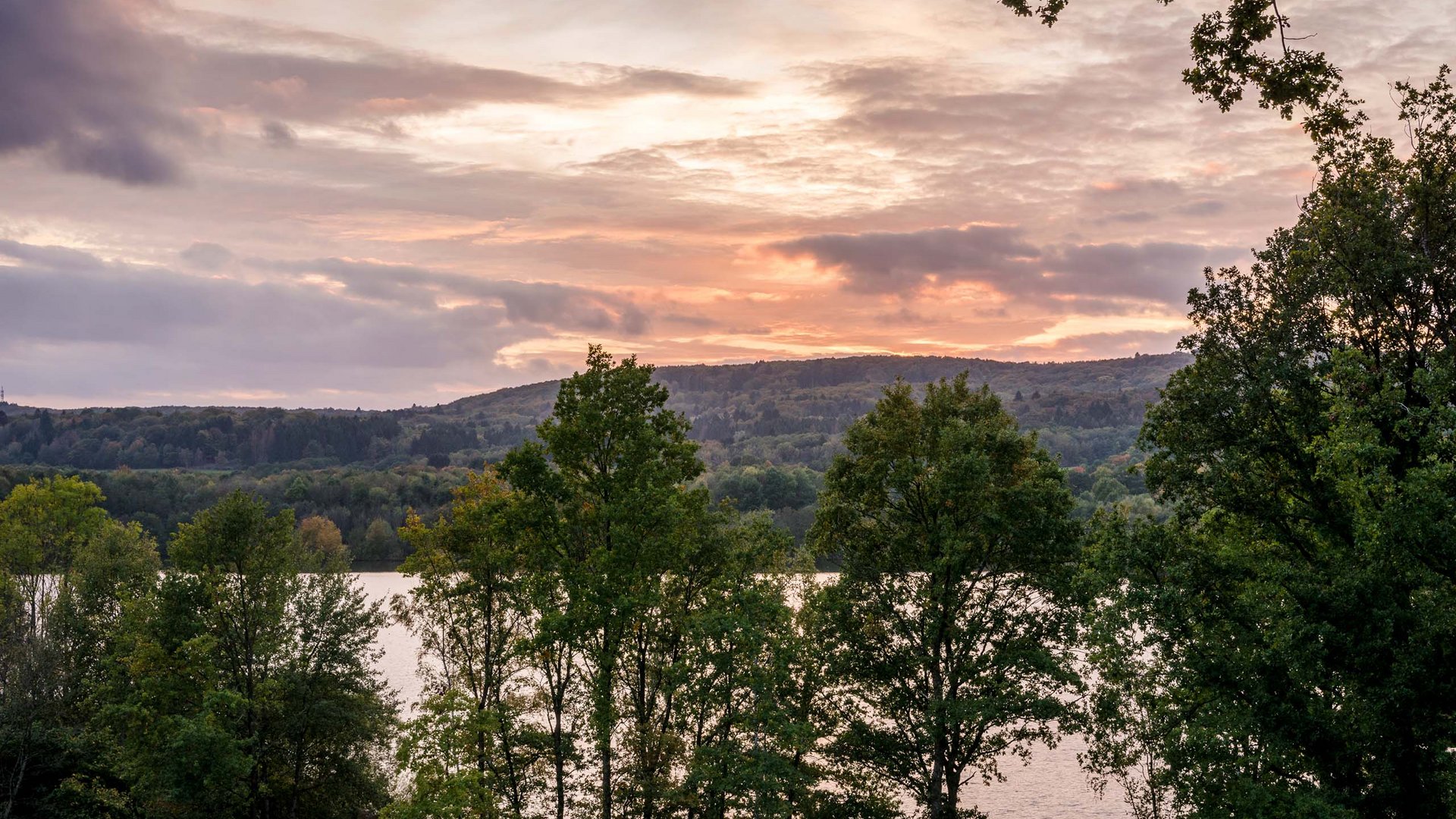 Seezeitlodge: Bildergalerie Bäume vor einem See bei Sonnenuntergang mit einem bewölkten Himmel