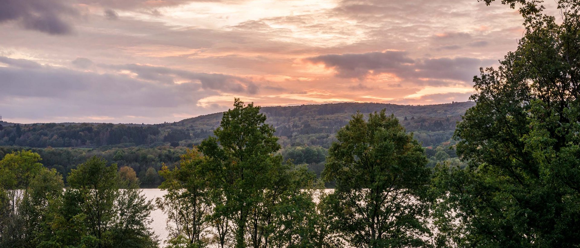 Seezeitlodge: Bildergalerie Bäume vor einem See bei Sonnenuntergang mit einem bewölkten Himmel