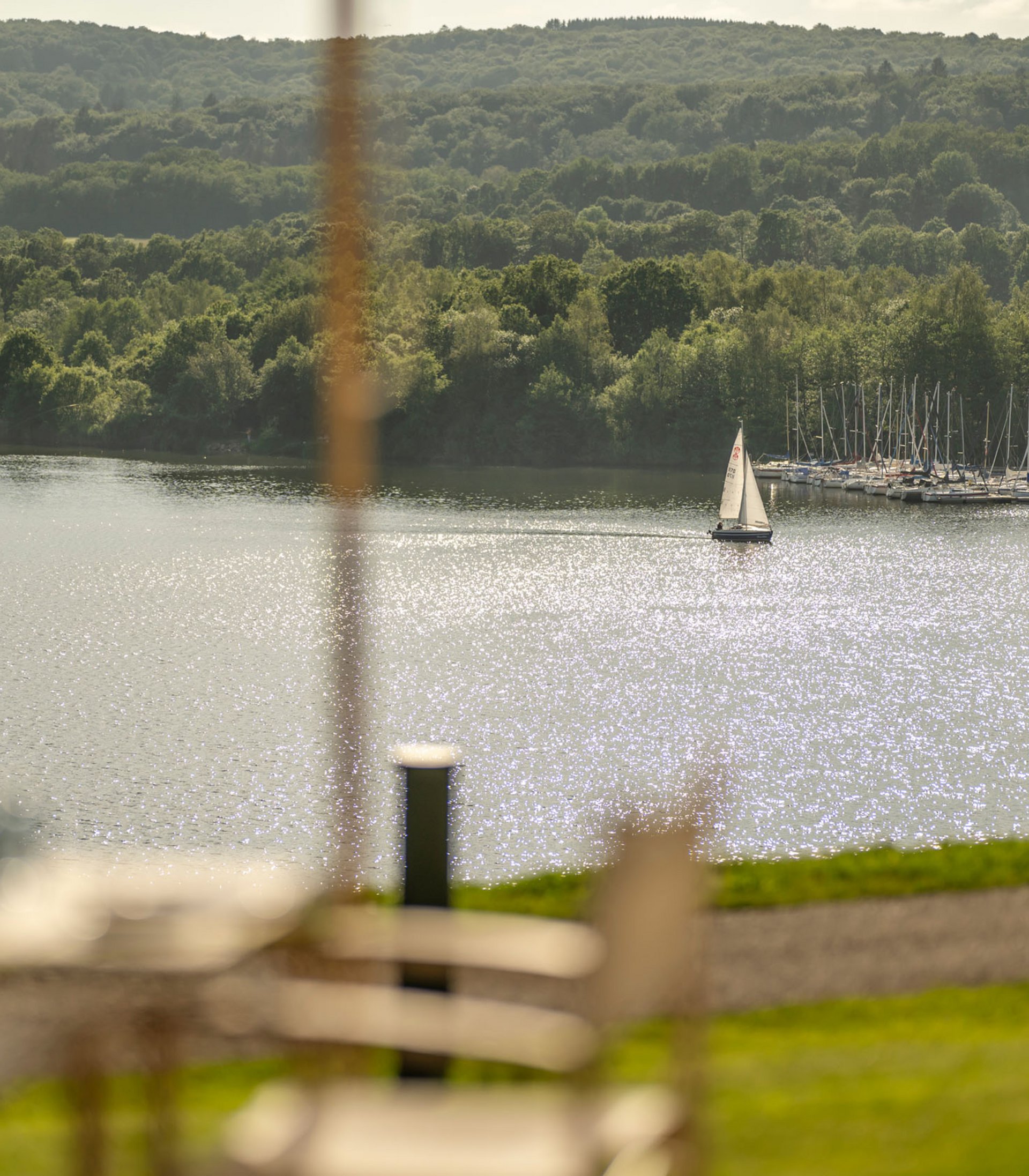 Press: Seezeitlodge on Lake Bostalsee Sailboat on sparkling lake with forest and marina in the background