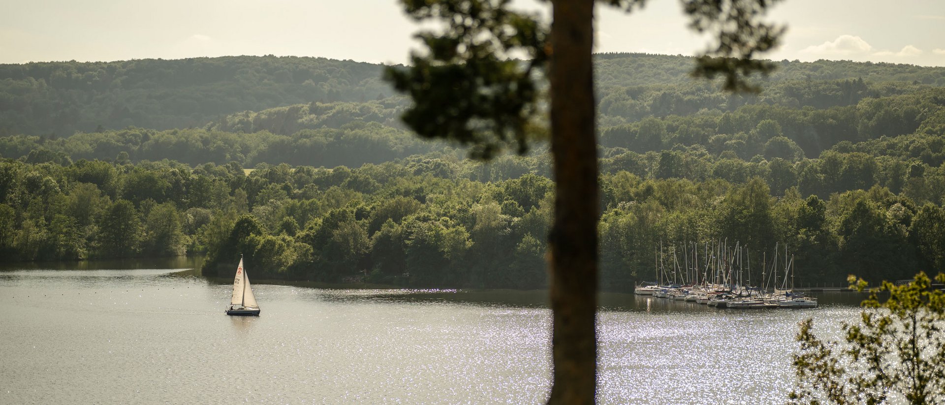 Seezeitlodge : Galerie photos Voilier sur un lac scintillant avec forêt en arrière-plan