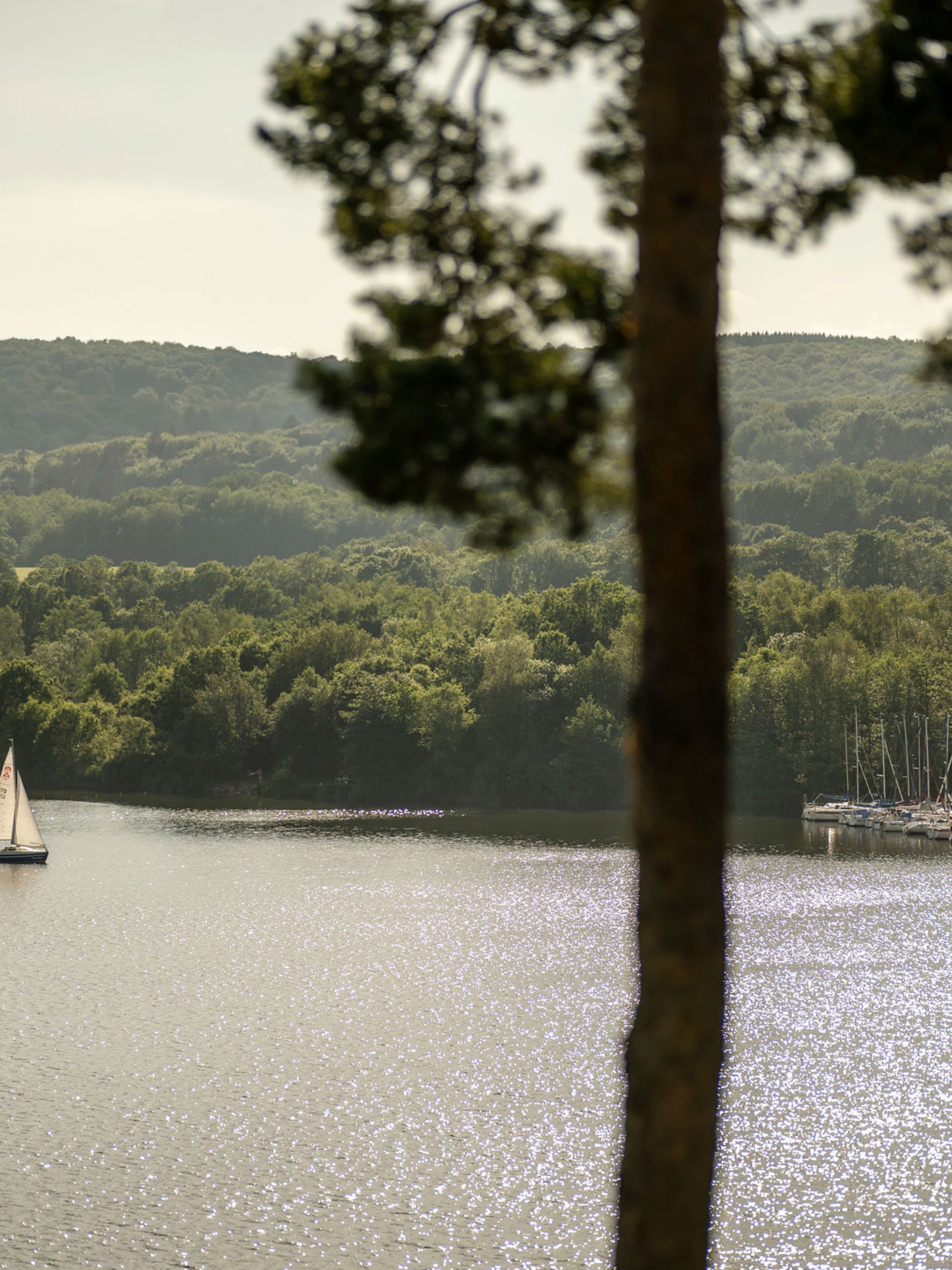 Seezeitlodge: Bildergalerie Segelboot auf glänzendem See mit bewaldetem Ufer im Hintergrund