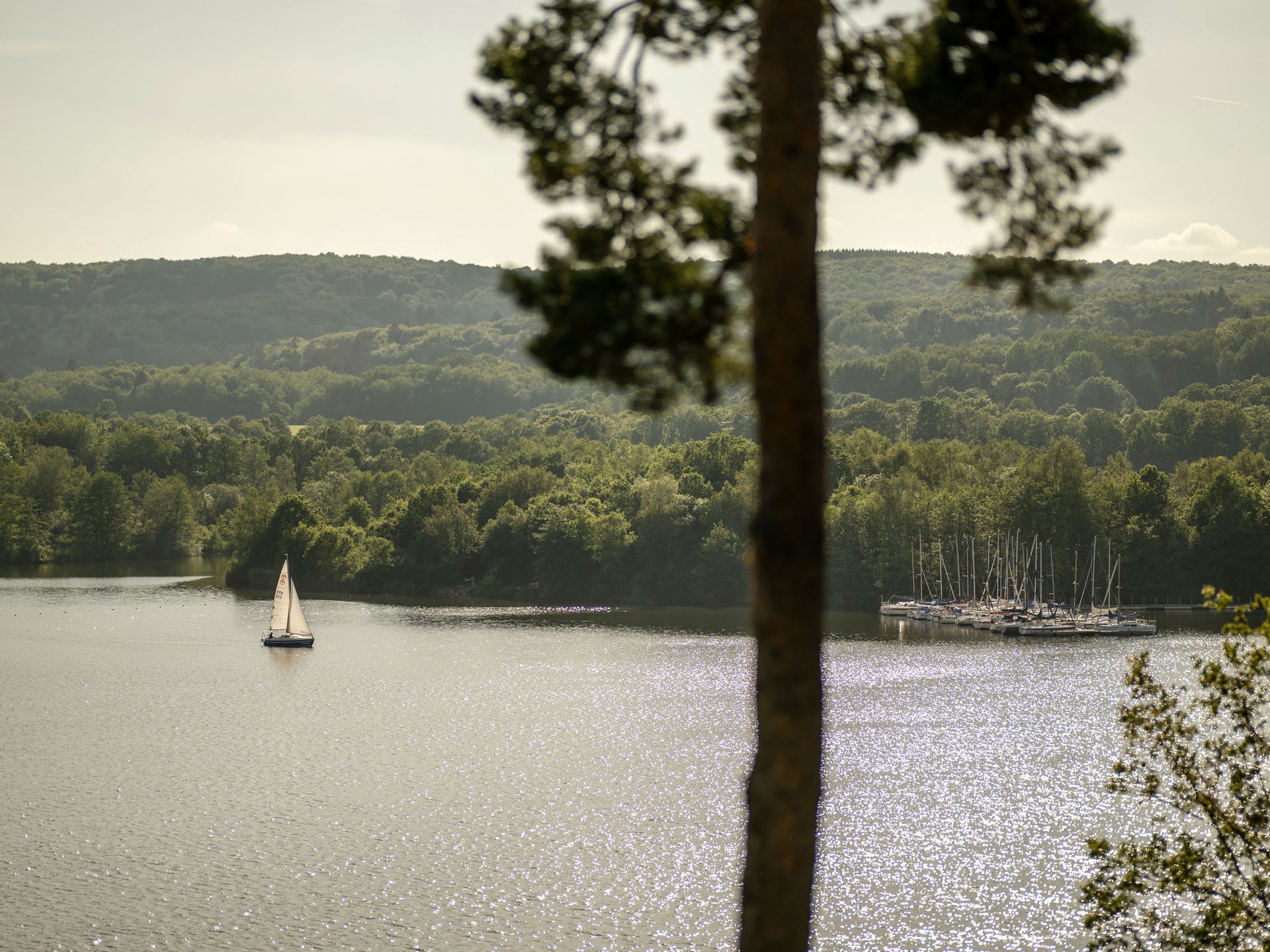 Seezeitlodge : Galerie photos Voilier sur un lac scintillant avec forêt en arrière-plan