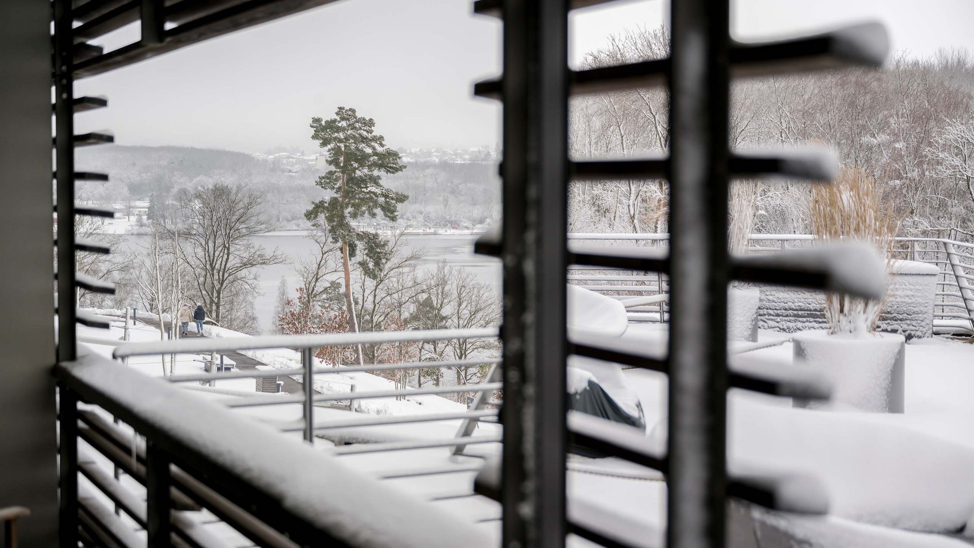 Die Seezeitlodge: Ihr Hotel am Bostalsee Verschneite Terrasse mit Blick auf Bäume und einen See, eingerahmt von einem dunklen Geländer