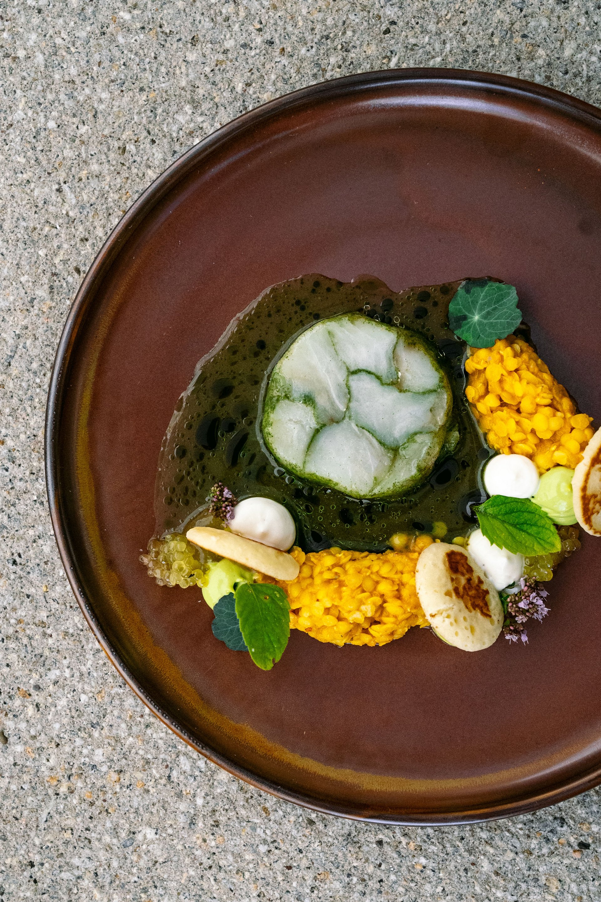 Seezeitlodge : Galerie photos Plat artistique avec sauce verte, lentilles jaunes et herbes sur assiette marron