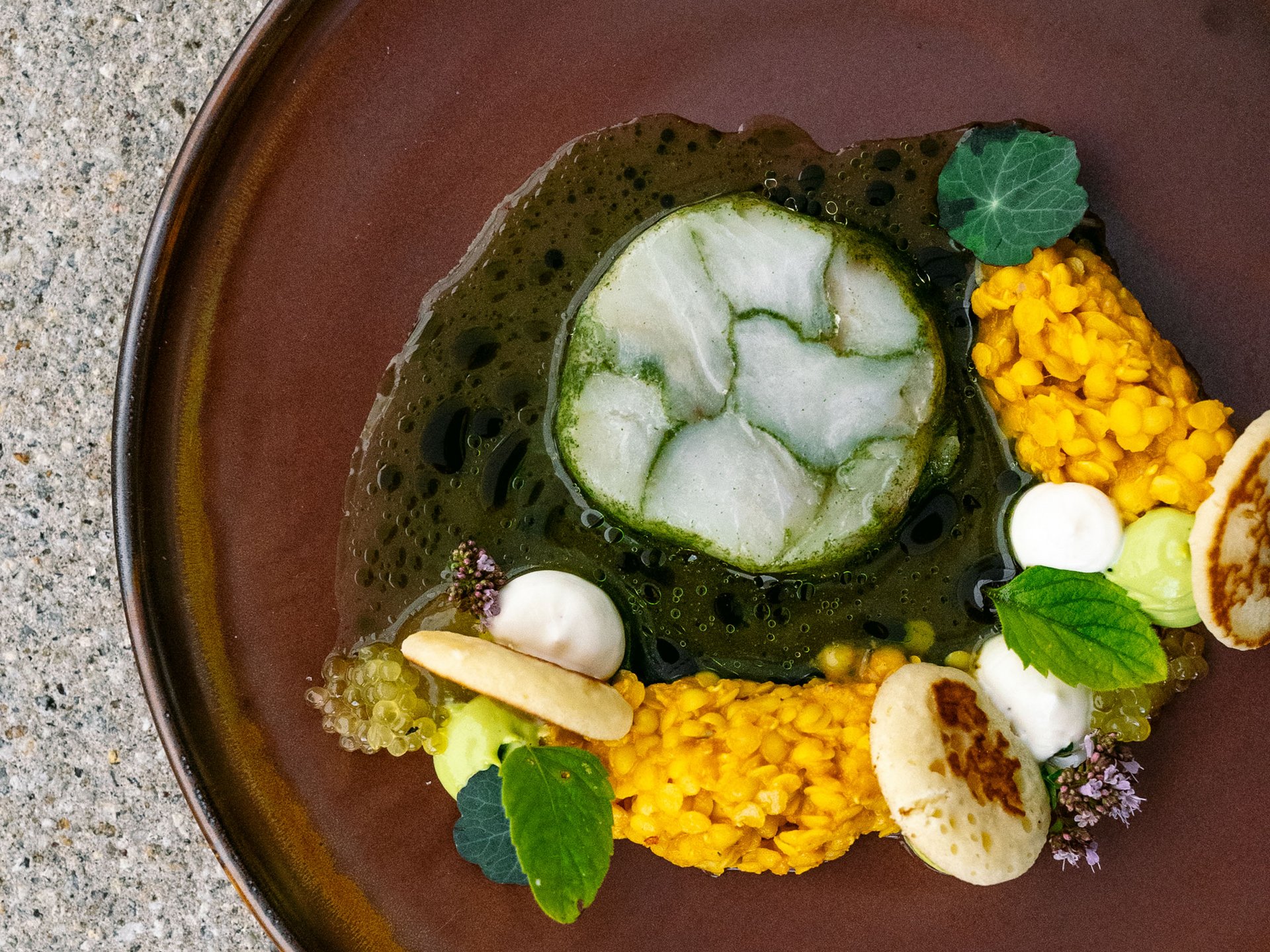 Seezeitlodge: Bildergalerie Künstlerisch angerichtetes Gericht mit grüner Soße, gelben Linsen und Kräutern auf braunem Teller