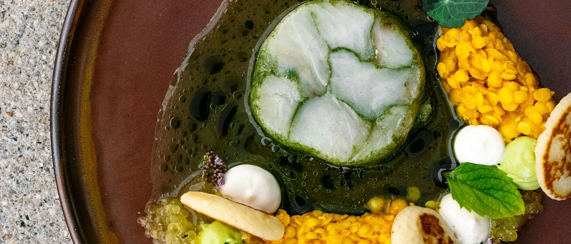 Seezeitlodge: Bildergalerie Künstlerisch angerichtetes Gericht mit grüner Soße, gelben Linsen und Kräutern auf braunem Teller