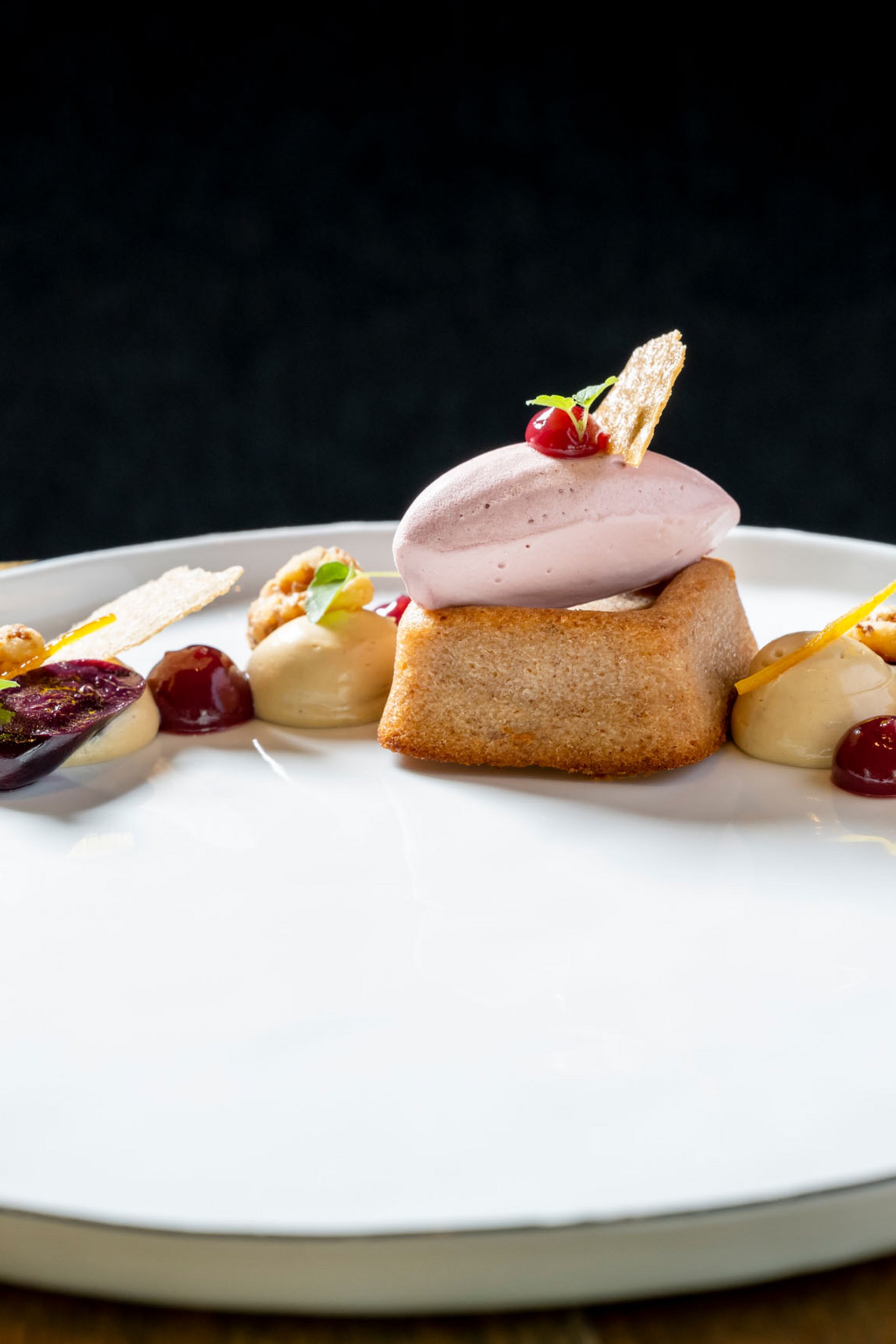 Seezeitlodge: Bildergalerie Elegantes Dessert mit Biskuit, Eis und Fruchtsoßen auf weißem Teller