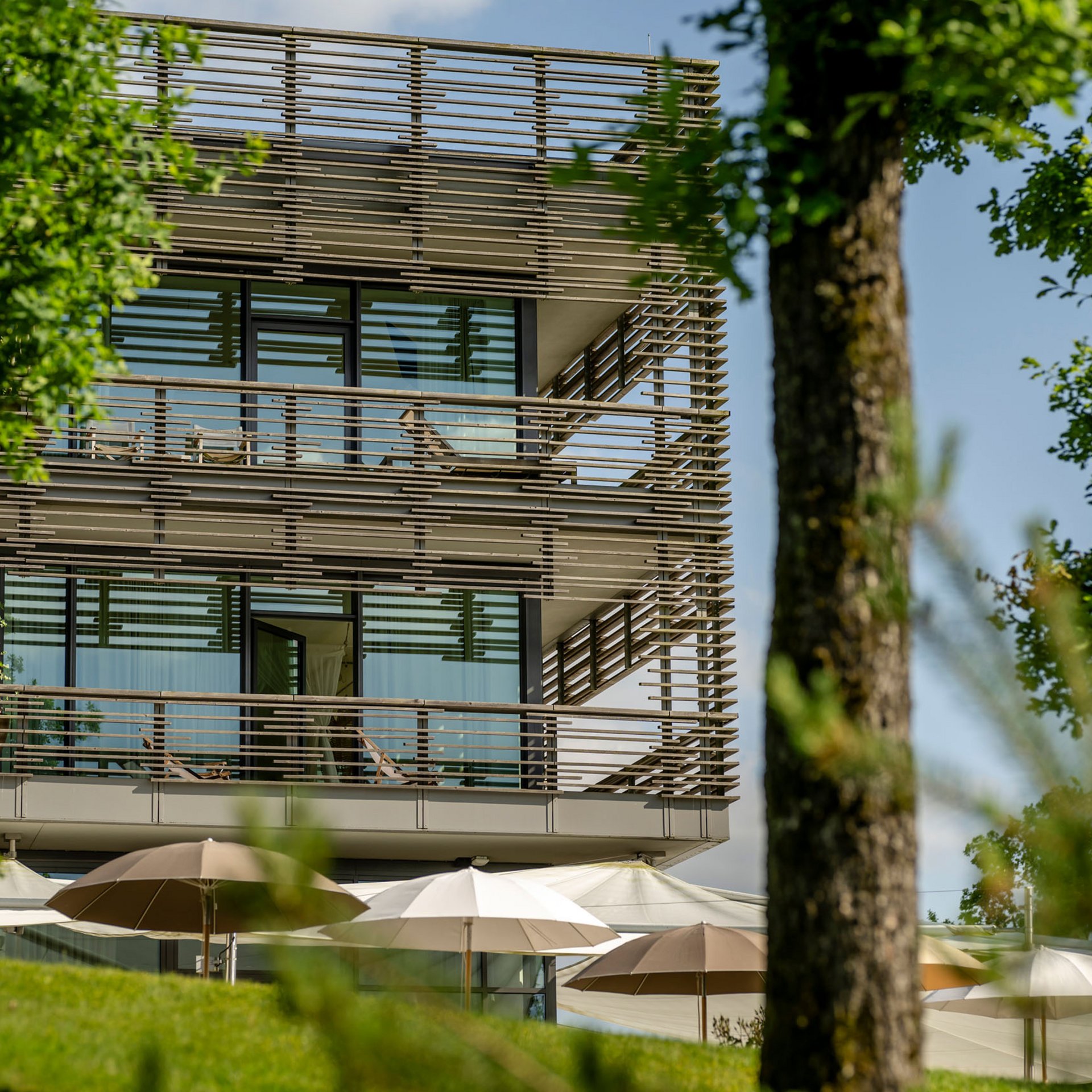 Le Seezeitlodge : votre hôtel au lac de Bostal Bâtiment moderne avec grandes fenêtres vitrées et parasols dans le jardin