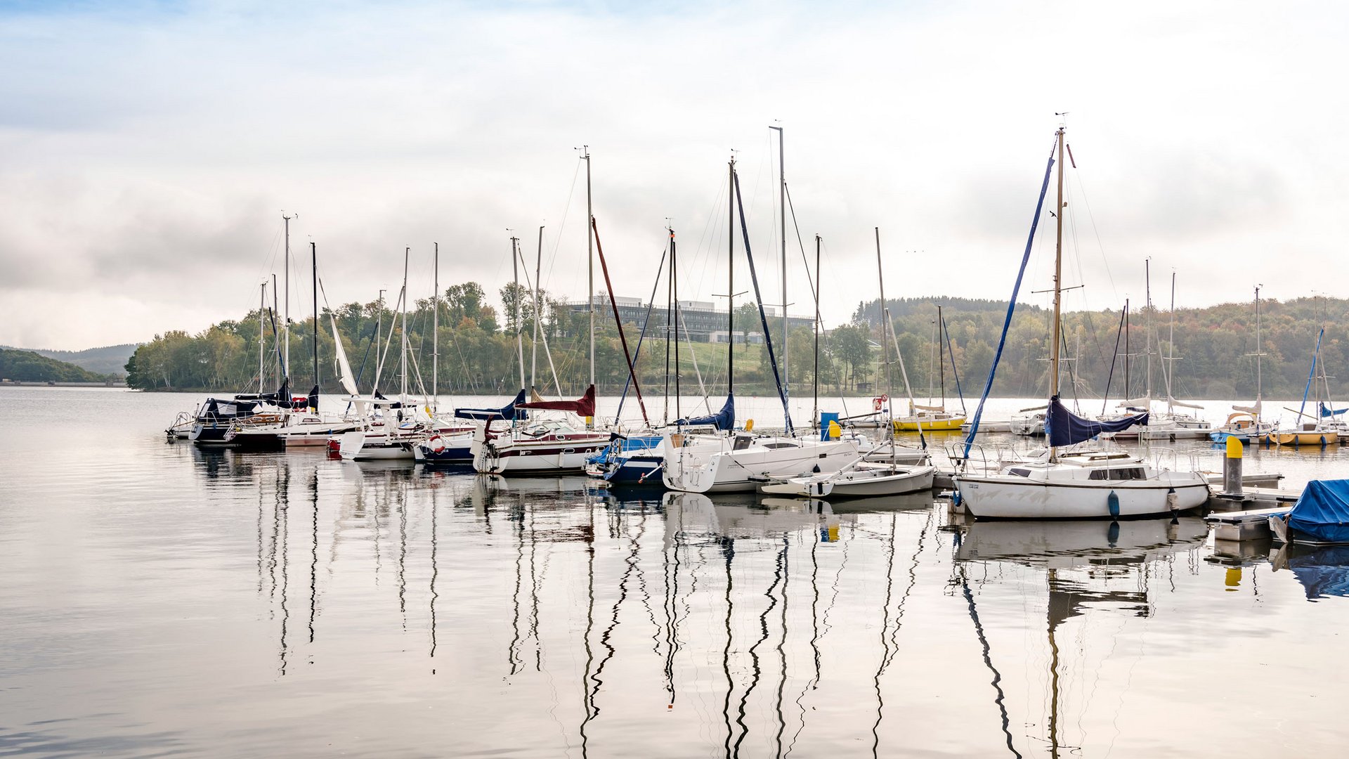 Seezeitlodge: Bildergalerie Segelboote im Hafen auf ruhigem See vor bewaldetem Ufer