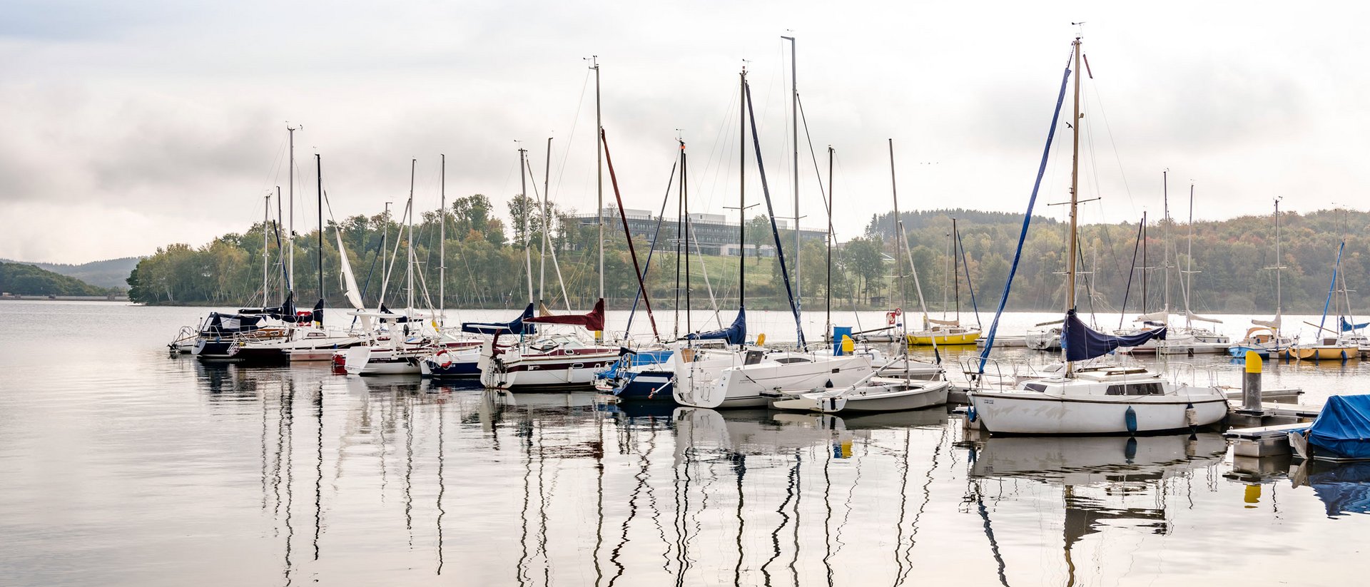 Seezeitlodge: Bildergalerie Segelboote im Hafen auf ruhigem See vor bewaldetem Ufer