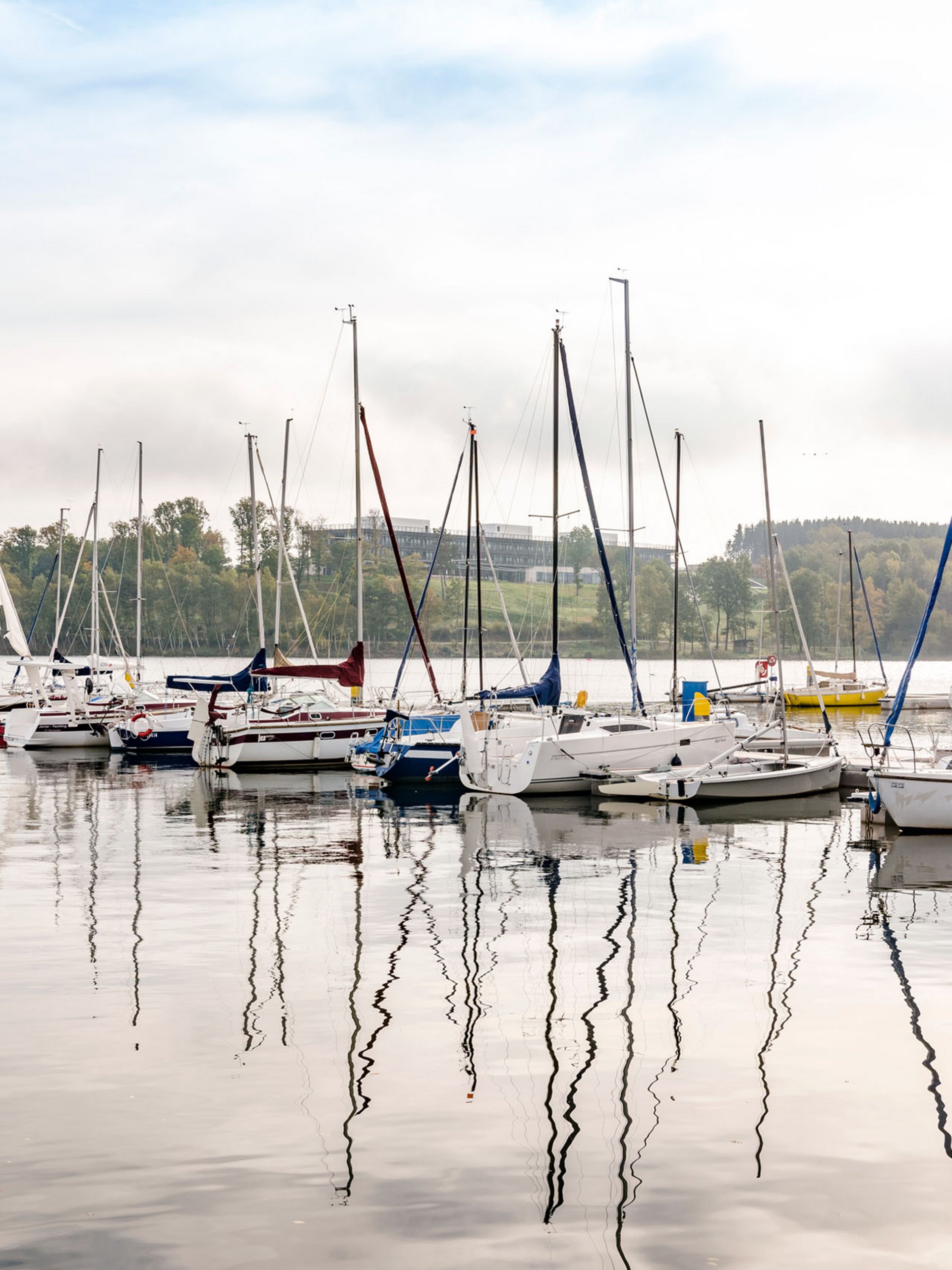 Seezeitlodge : Galerie photos Voiliers amarrés dans un port sur un lac calme avec forêt en arrière-plan