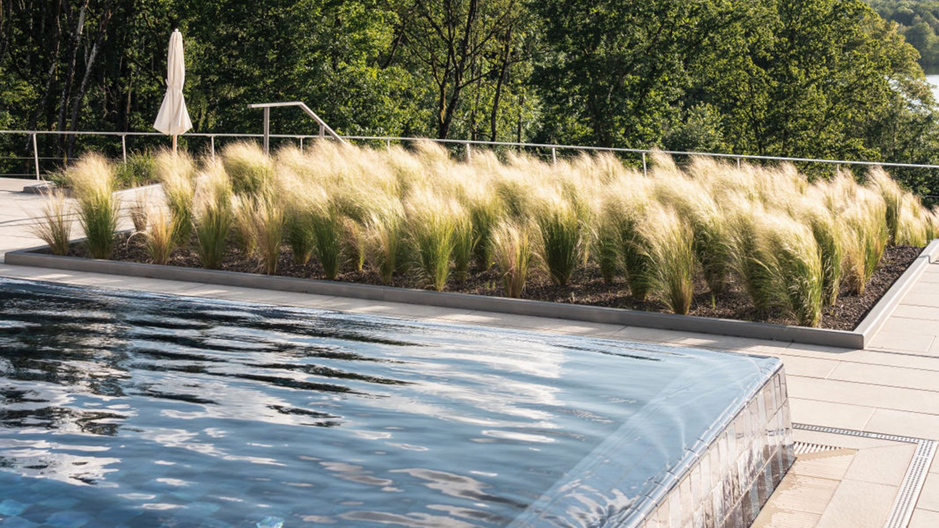 Seezeitlodge : Galerie photos Piscine à débordement avec eau coulant et herbes devant des arbres sous la lumière du soleil