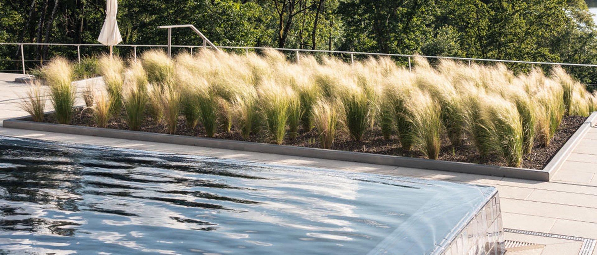 Seezeitlodge: Bildergalerie Infinity-Pool mit fließendem Wasser und Gräsern vor Bäumen bei Sonnenlicht