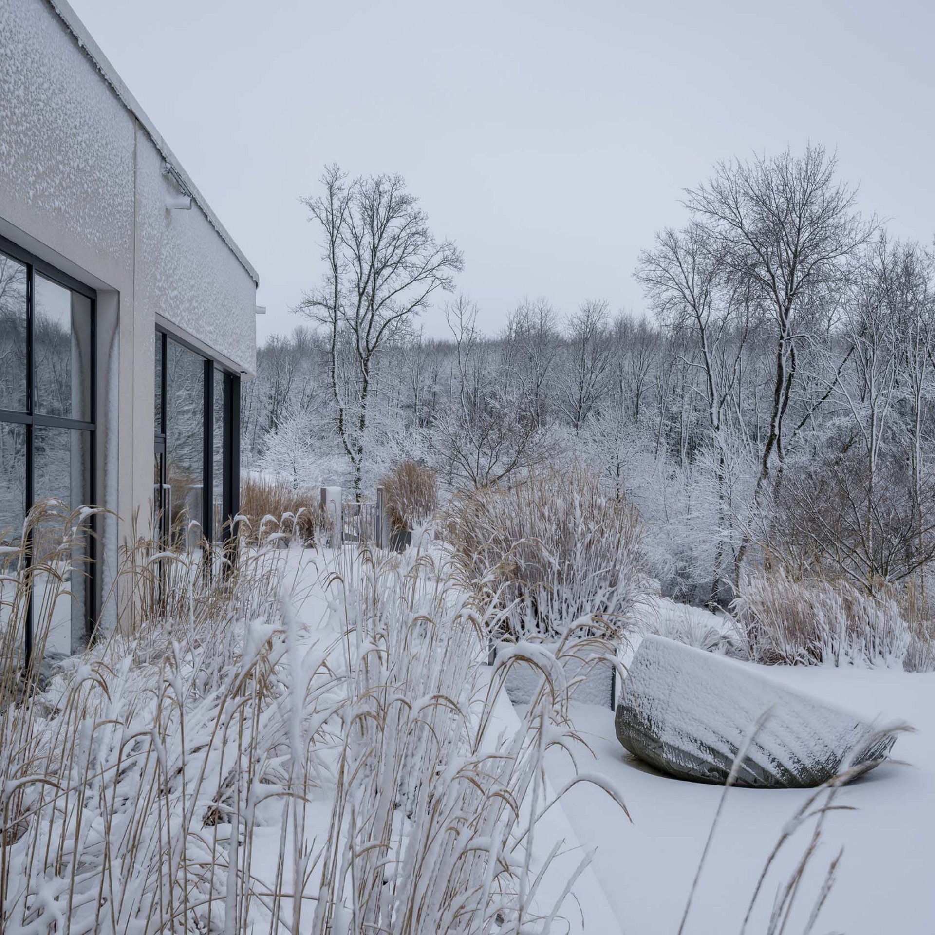 Die Seezeitlodge: Ihr Hotel am Bostalsee Modernes Gebäude mit großen Fenstern in verschneiter Landschaft mit Gräsern und Bäumen