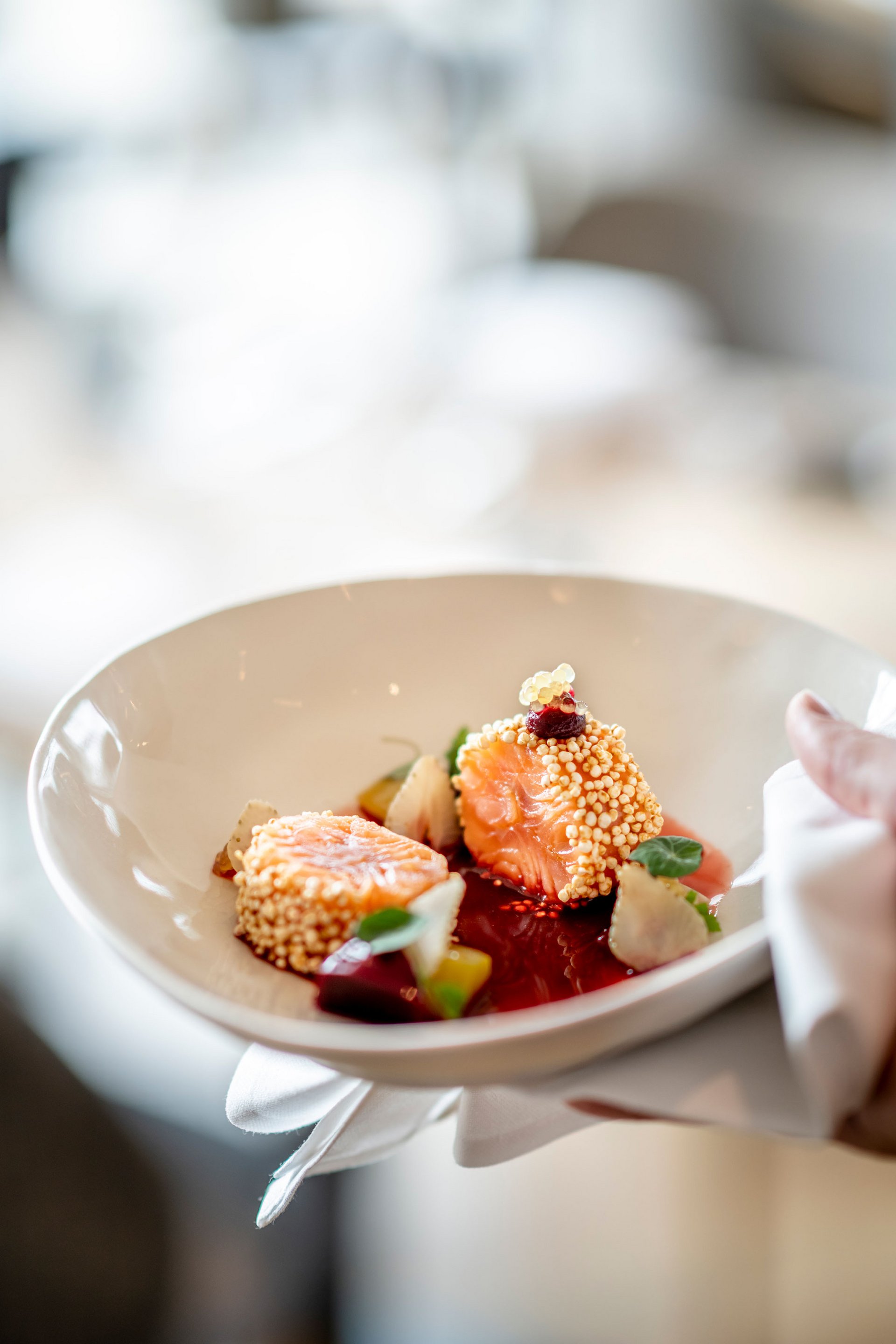 Seezeitlodge: Bildergalerie Fein angerichtete Lachsstücke mit Sauce und Garnitur in weißem Teller