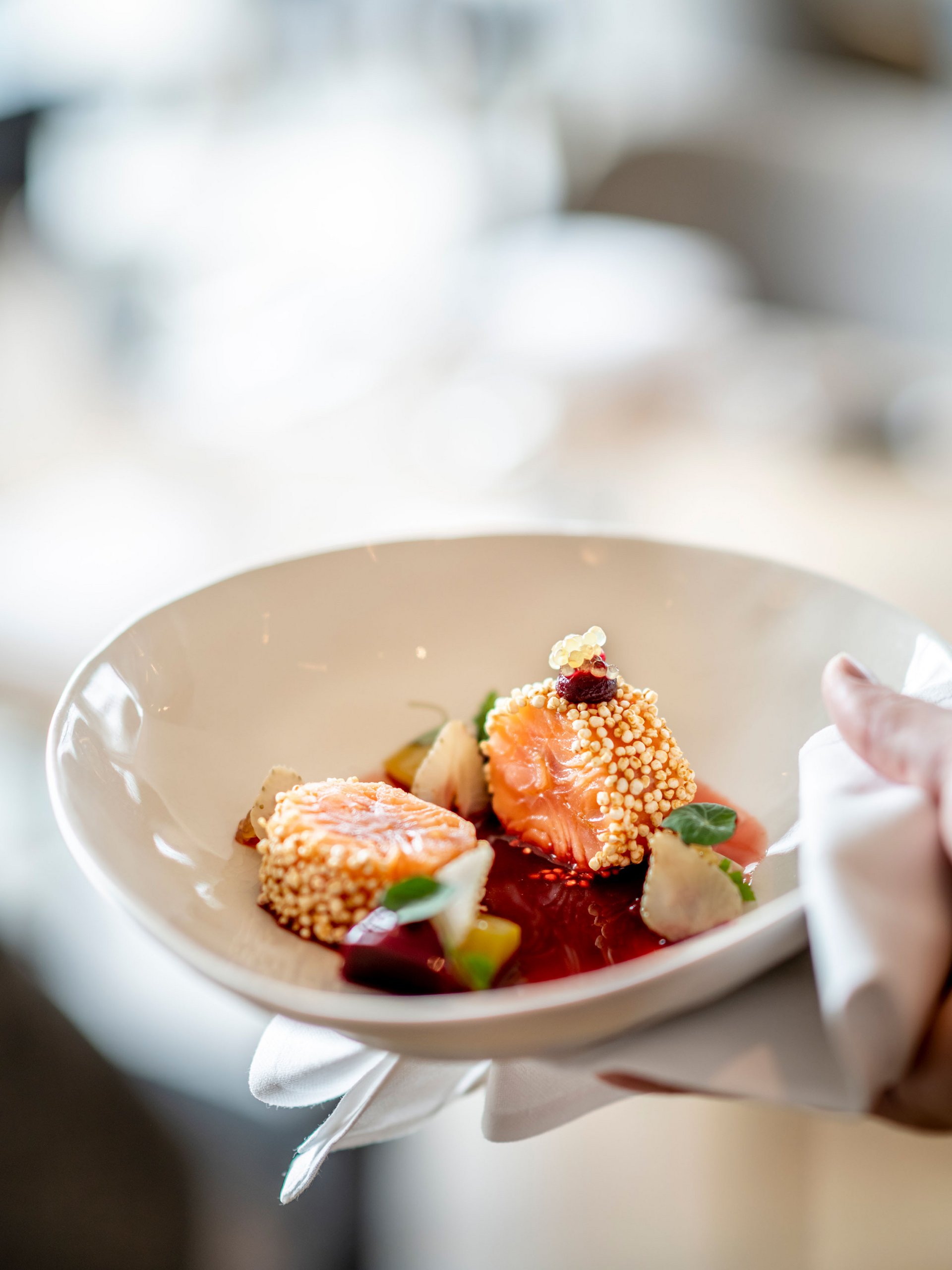 Seezeitlodge : Galerie photos Morçeaux de saumon délicats avec sauce et garniture dans une assiette blanche