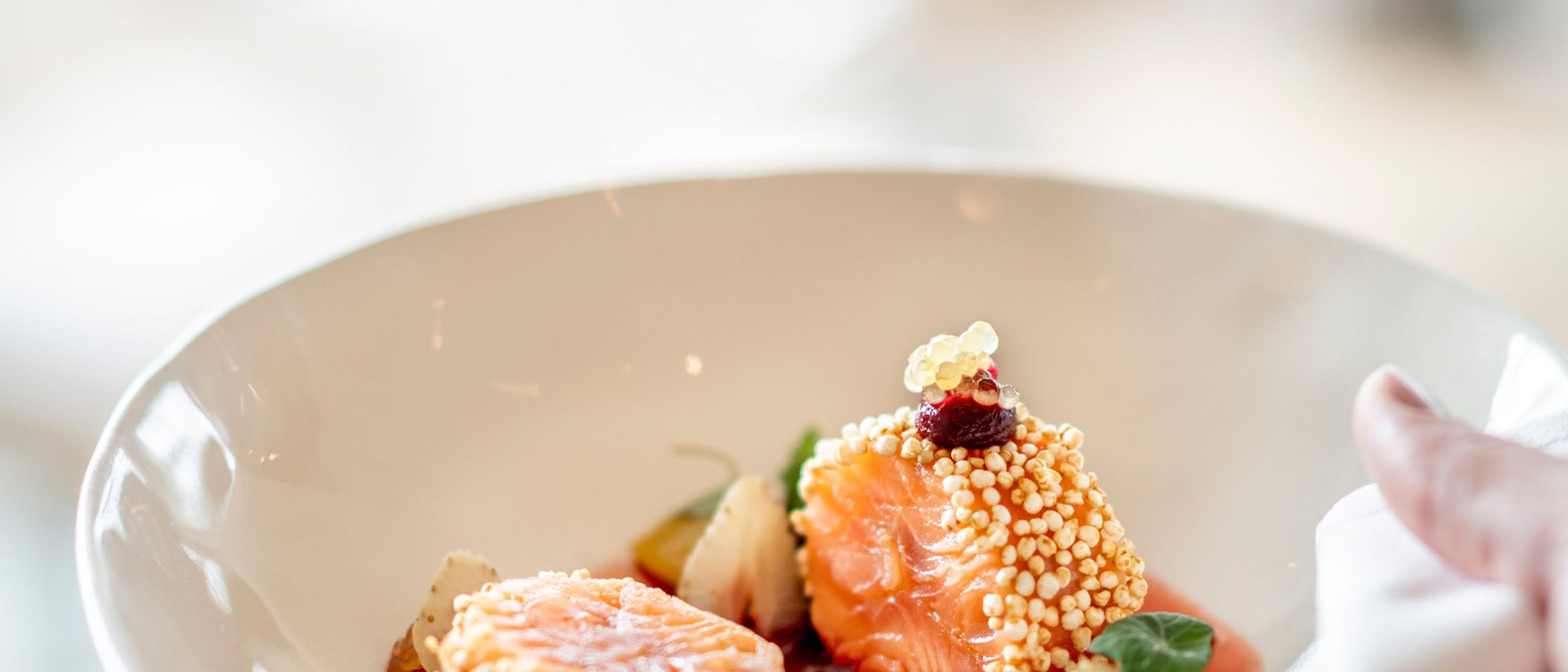 Seezeitlodge: Bildergalerie Fein angerichtete Lachsstücke mit Sauce und Garnitur in weißem Teller