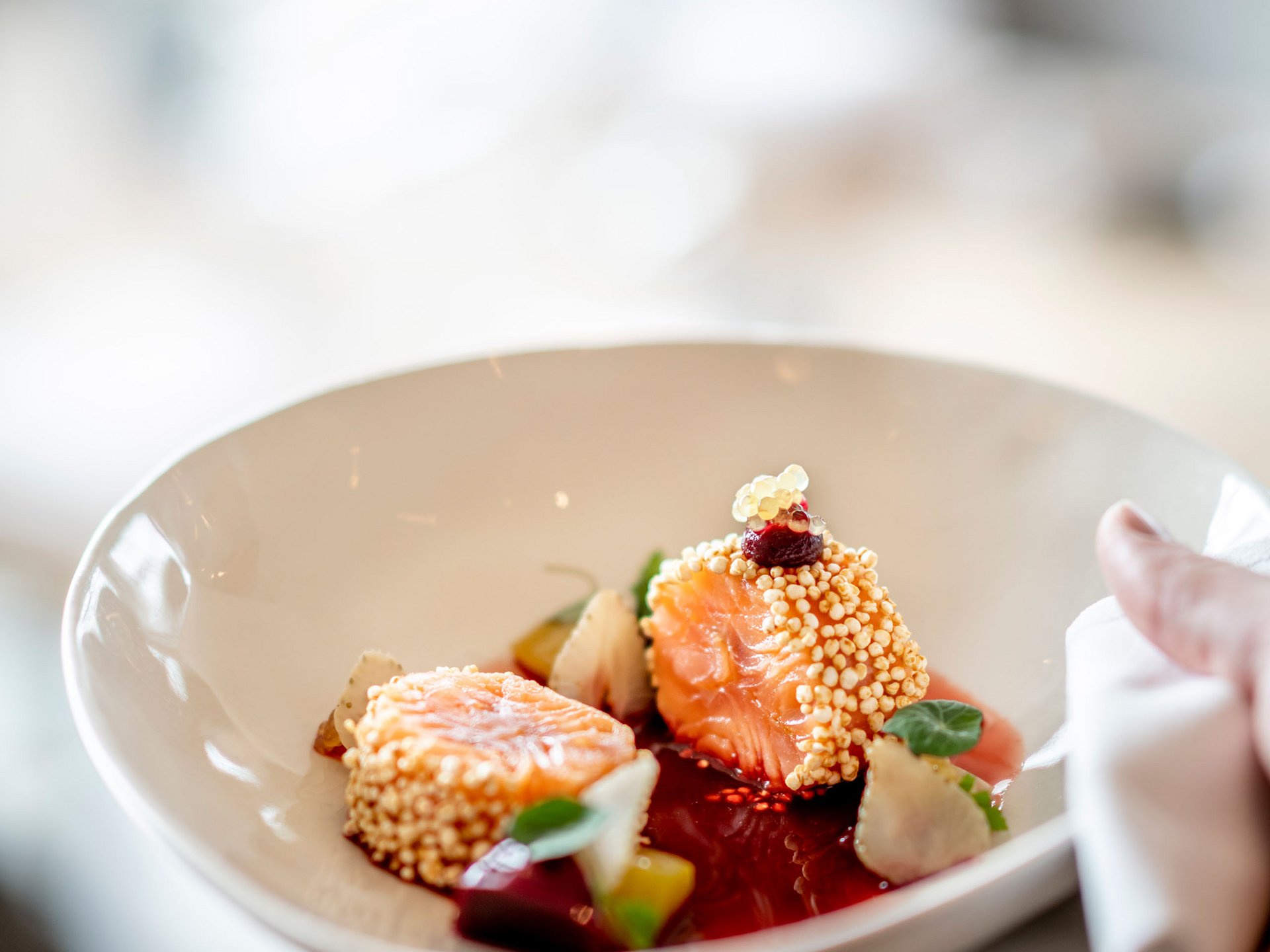 Seezeitlodge: Bildergalerie Fein angerichtete Lachsstücke mit Sauce und Garnitur in weißem Teller