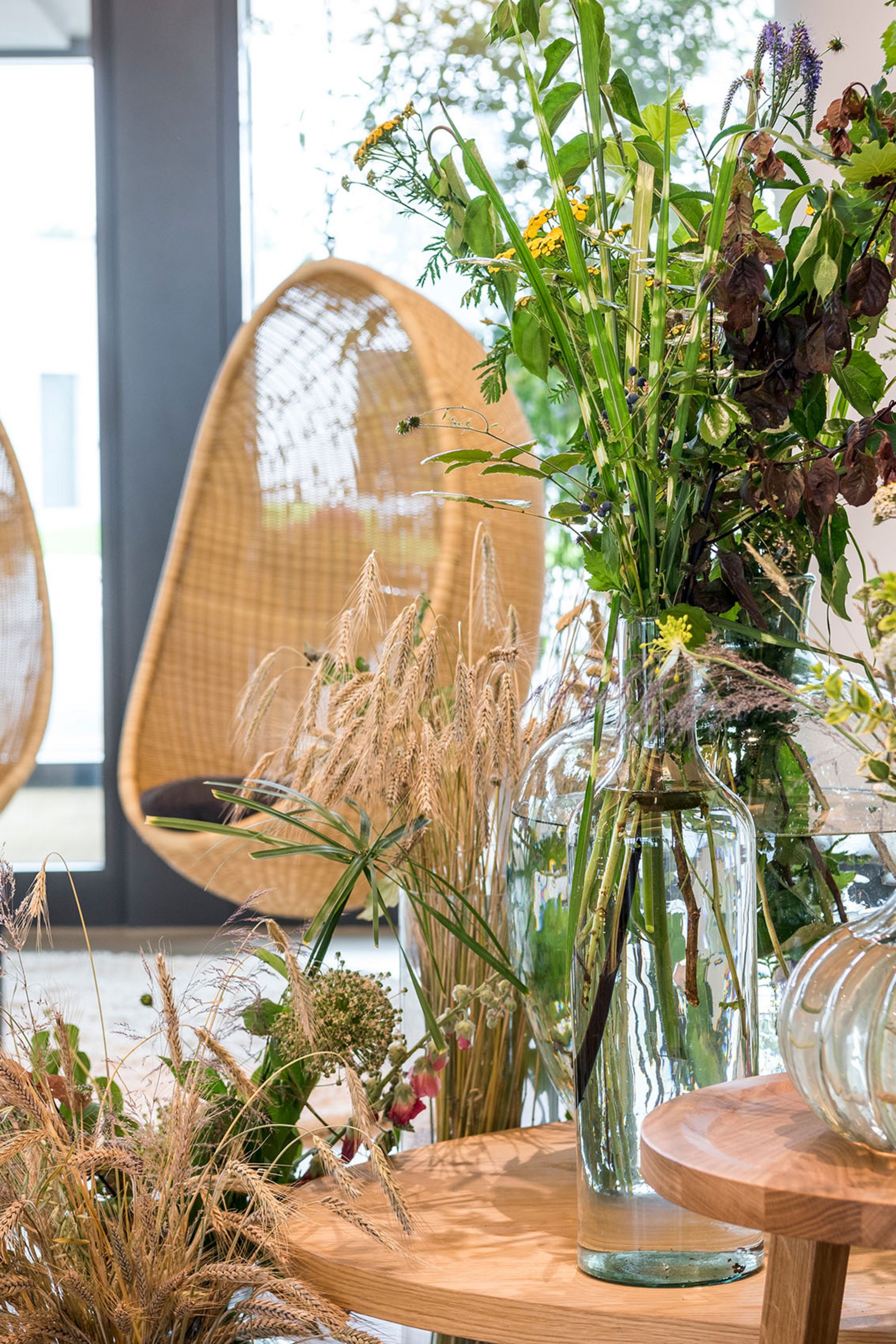 Seezeitlodge : Galerie photos Intérieur moderne avec vases en verre et plantes près de fauteuils suspendus en osier