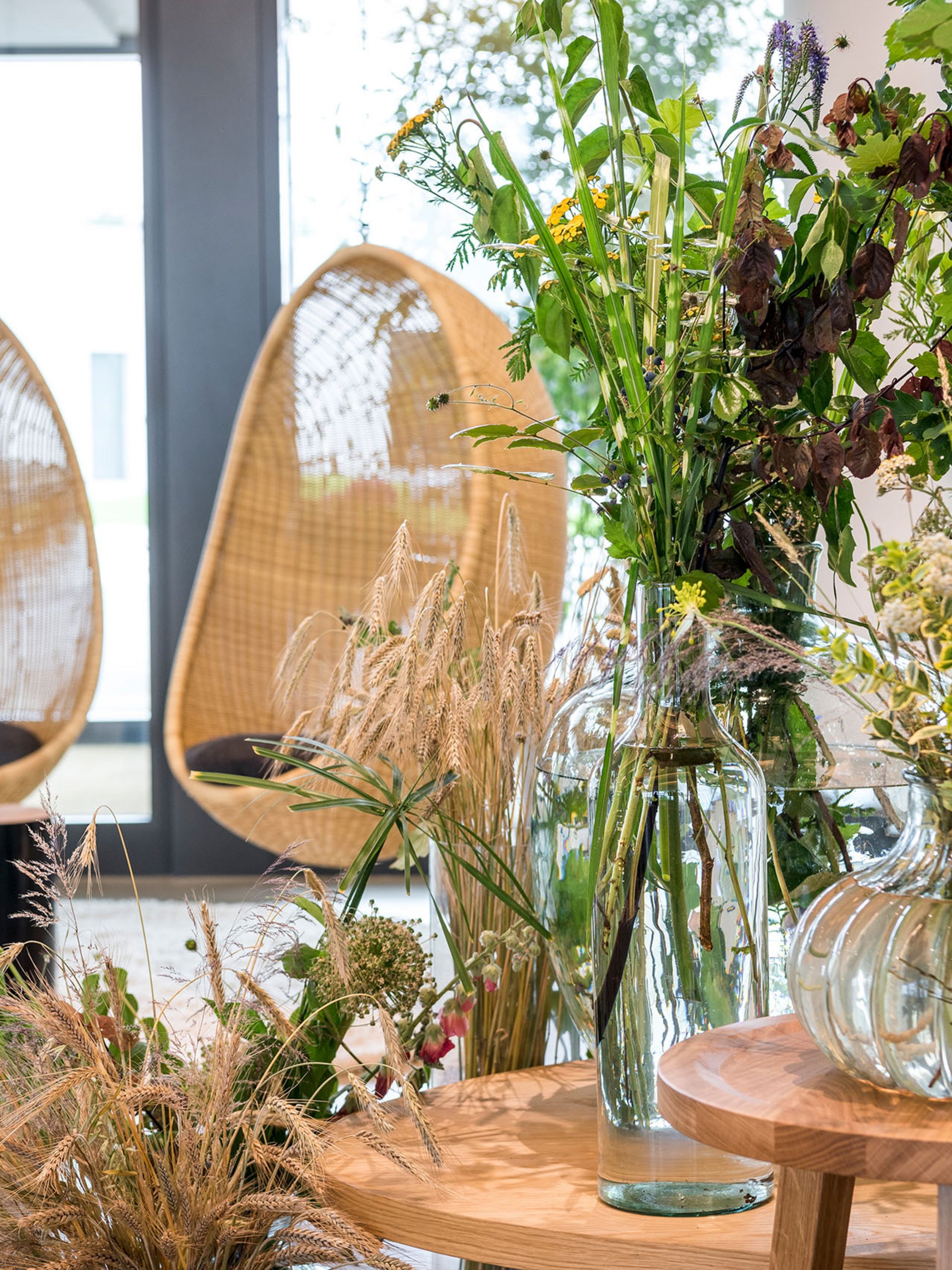 Seezeitlodge : Galerie photos Intérieur moderne avec vases en verre et plantes près de fauteuils suspendus en osier