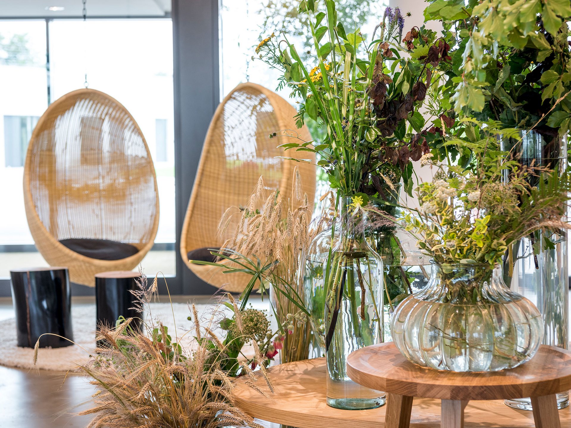 Seezeitlodge : Galerie photos Intérieur moderne avec vases en verre et plantes près de fauteuils suspendus en osier