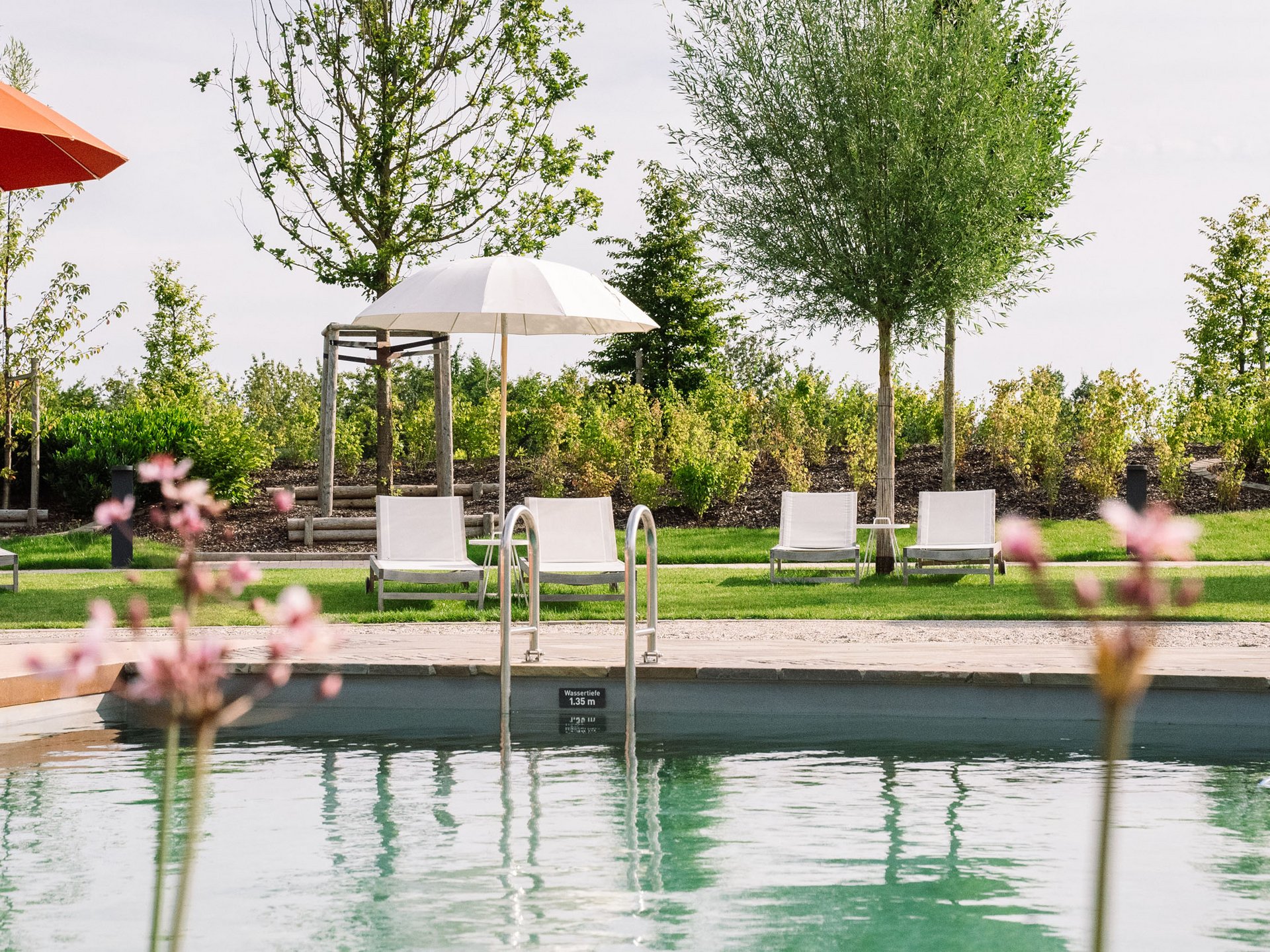 Seezeitlodge: Bildergalerie Schwimmbecken mit Liegestühlen und Sonnenschirmen in Grünanlage