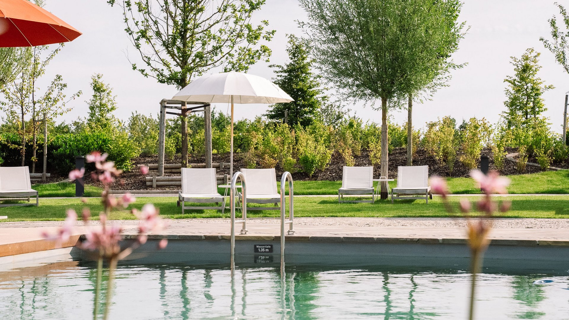 Seezeitlodge : Galerie photos Piscine avec chaises longues et parasols dans un jardin verdoyant