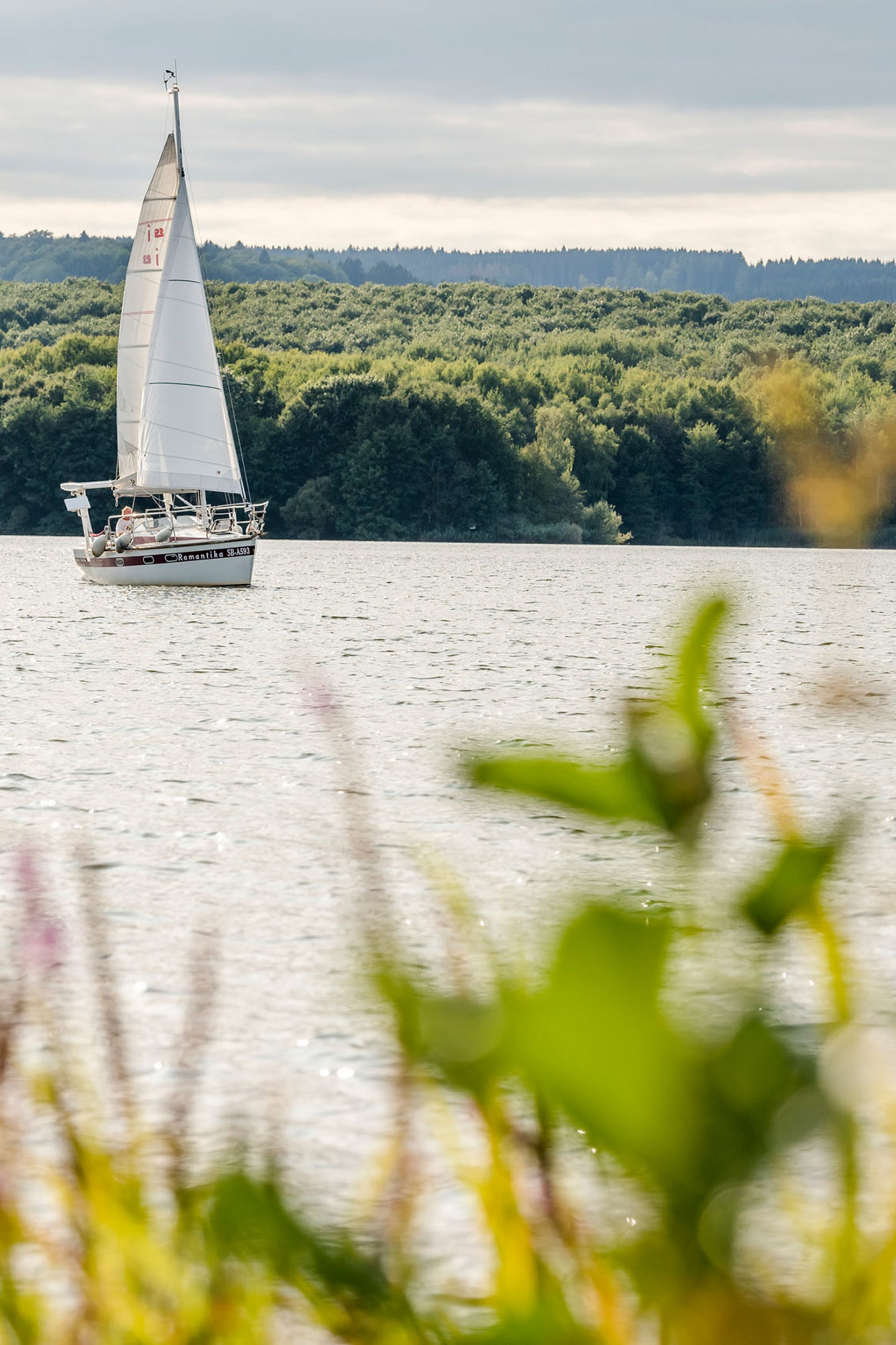 Seezeitlodge: Bildergalerie Segelboot auf ruhigem See vor bewaldetem Ufer bei bewölktem Himmel