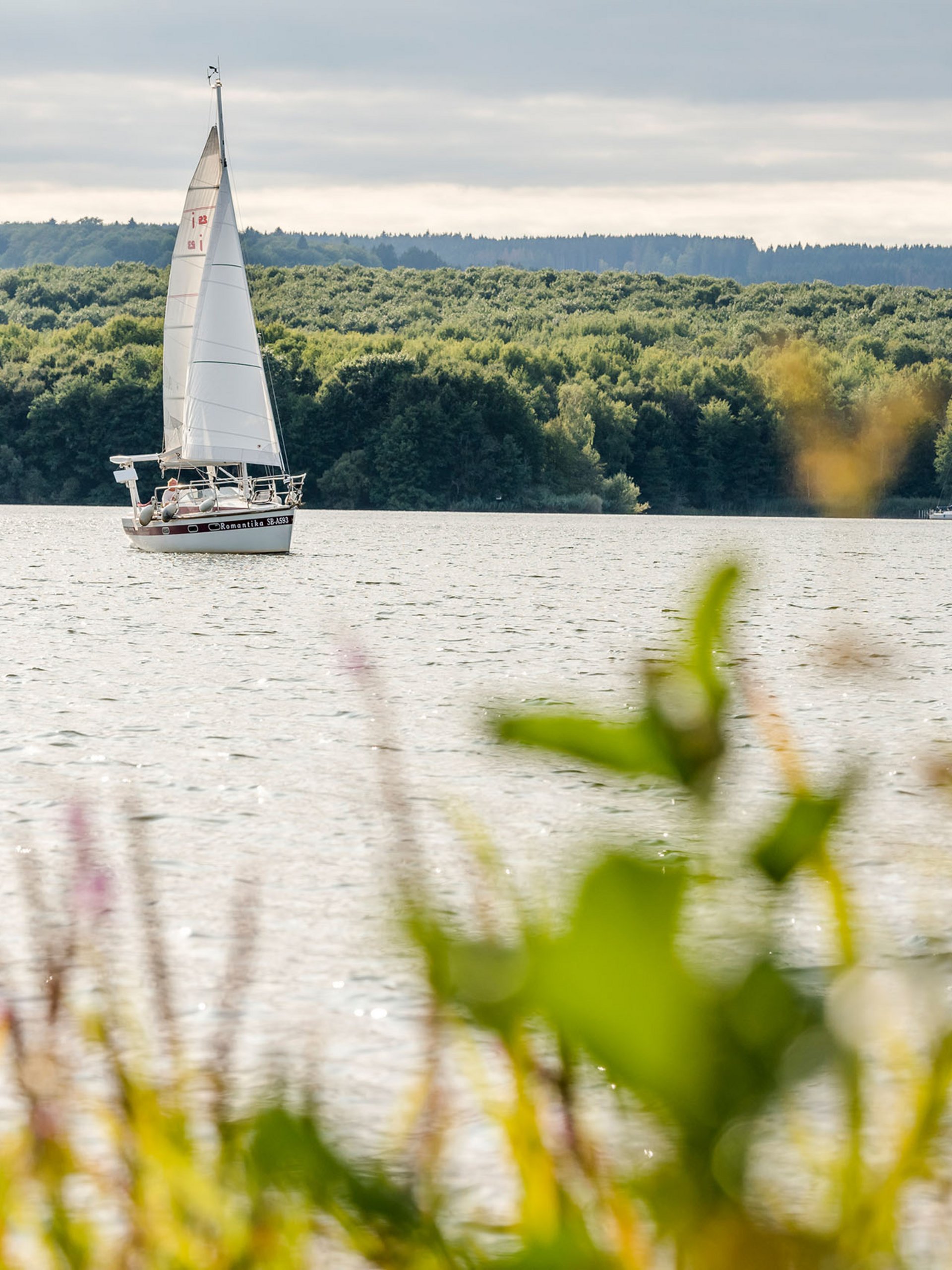 Seezeitlodge: Bildergalerie Segelboot auf ruhigem See vor bewaldetem Ufer bei bewölktem Himmel