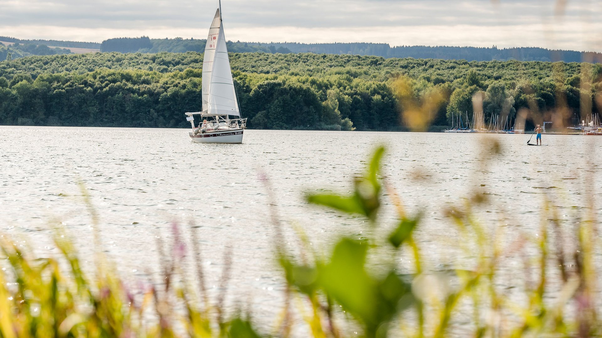 Seezeitlodge : Galerie photos Voilier sur un lac calme avec forêt dense en arrière-plan sous ciel nuageux