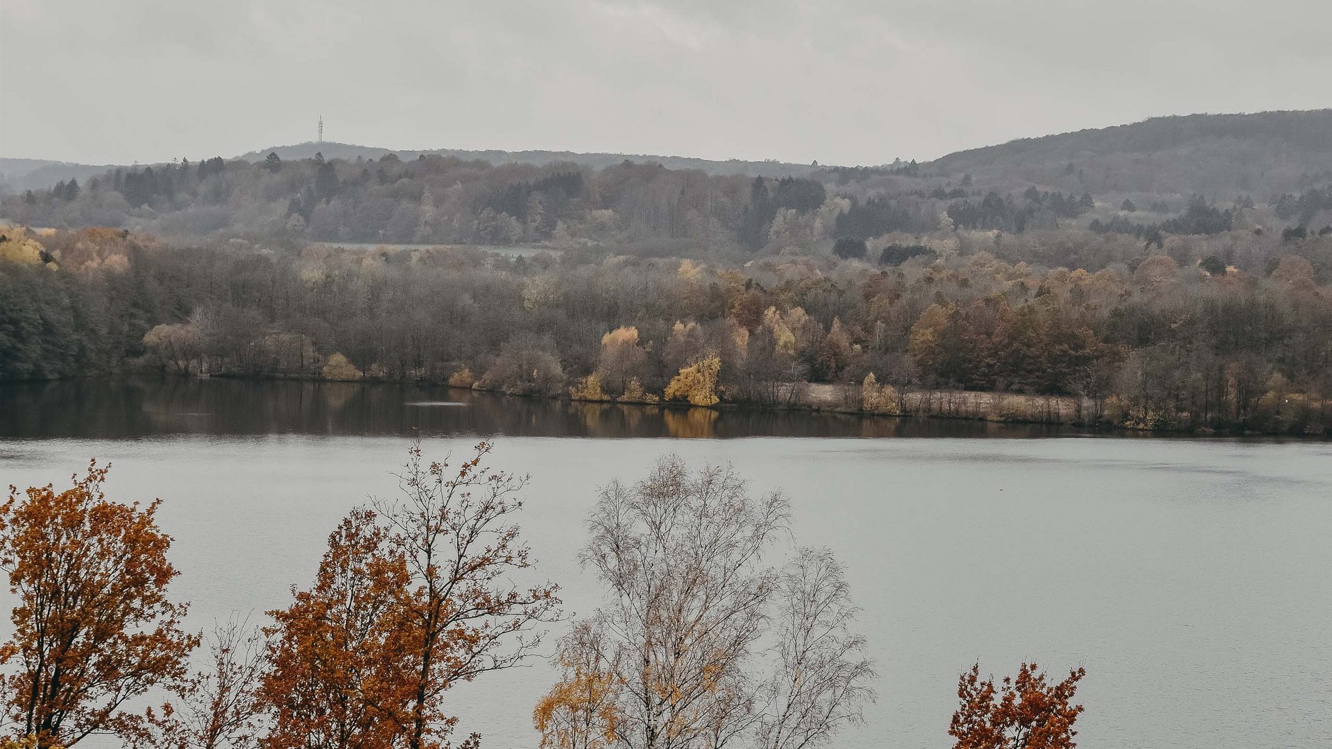 Seezeitlodge: Bildergalerie Herbstliche Bäume am Ufer eines Sees unter bewölktem Himmel