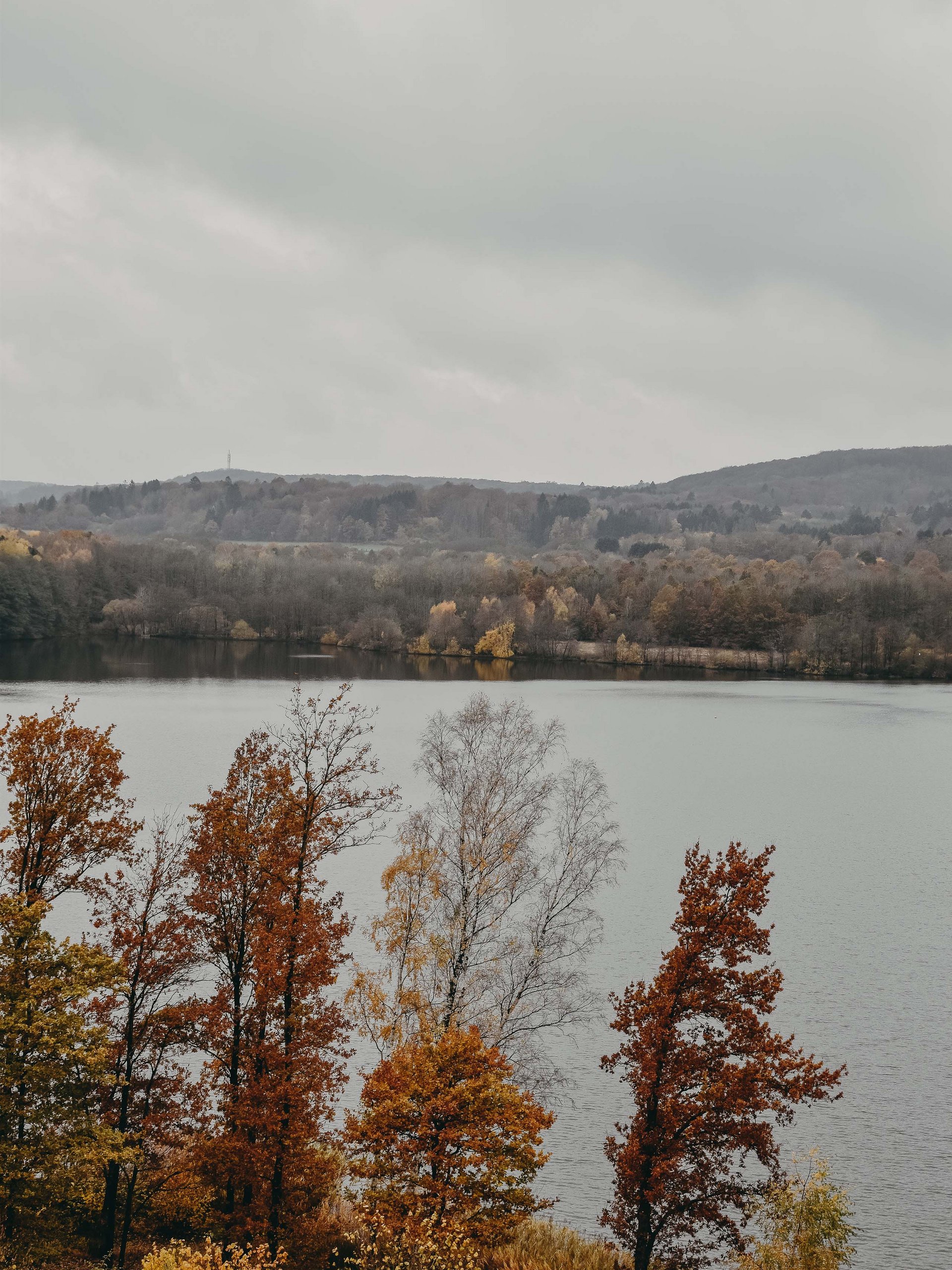 Seezeitlodge : Galerie photos Arbres d'automne au bord d'un lac sous un ciel nuageux