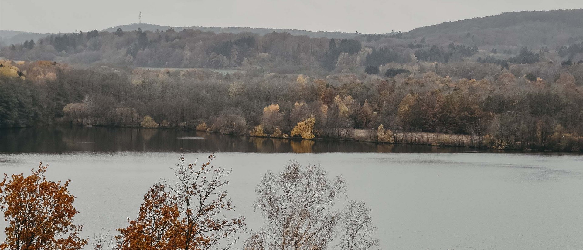 Seezeitlodge : Galerie photos Arbres d'automne au bord d'un lac sous un ciel nuageux