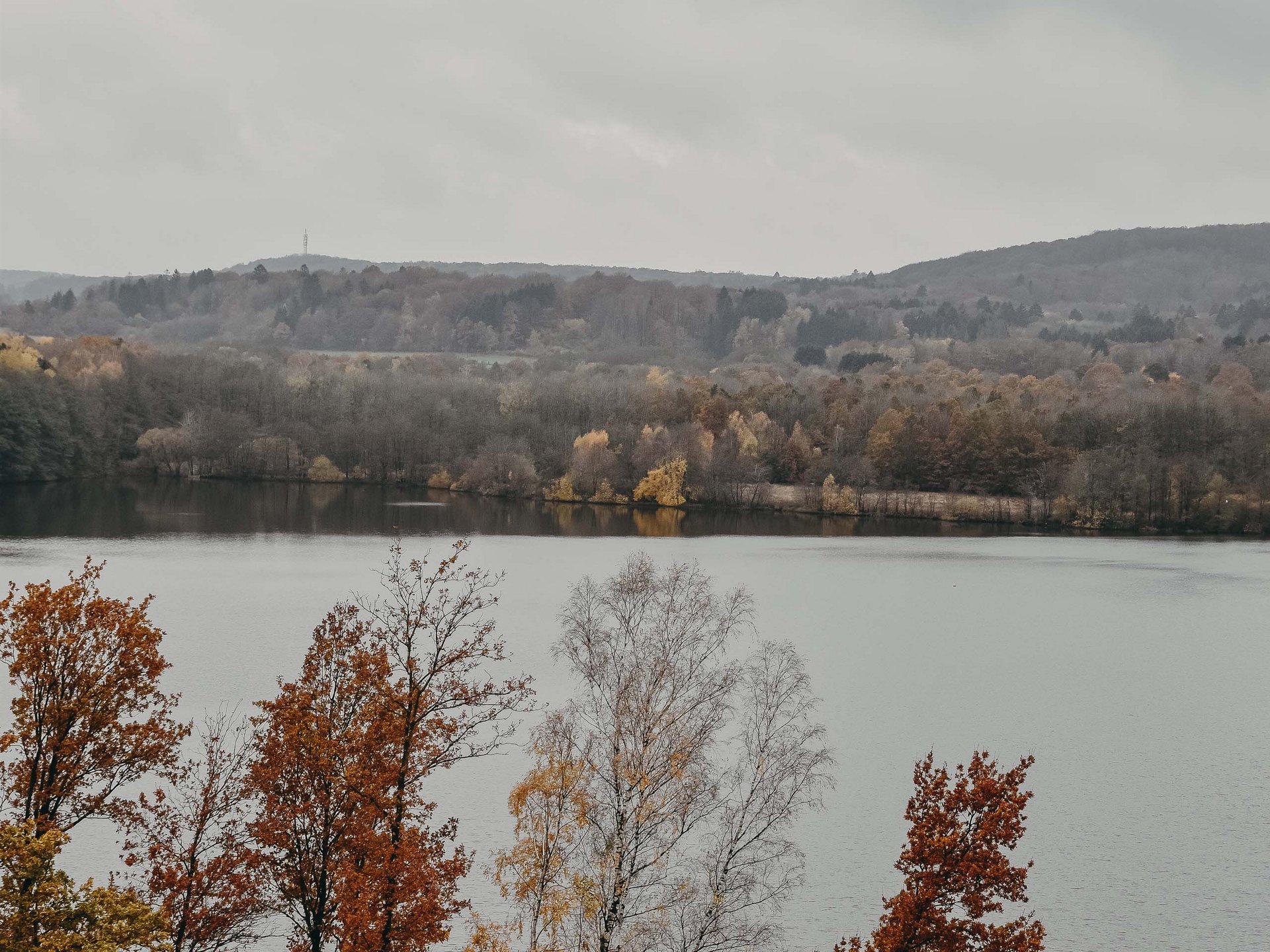 Le Seezeitlodge : votre hôtel au lac de Bostal Arbres d'automne au bord d'un lac sous un ciel nuageux