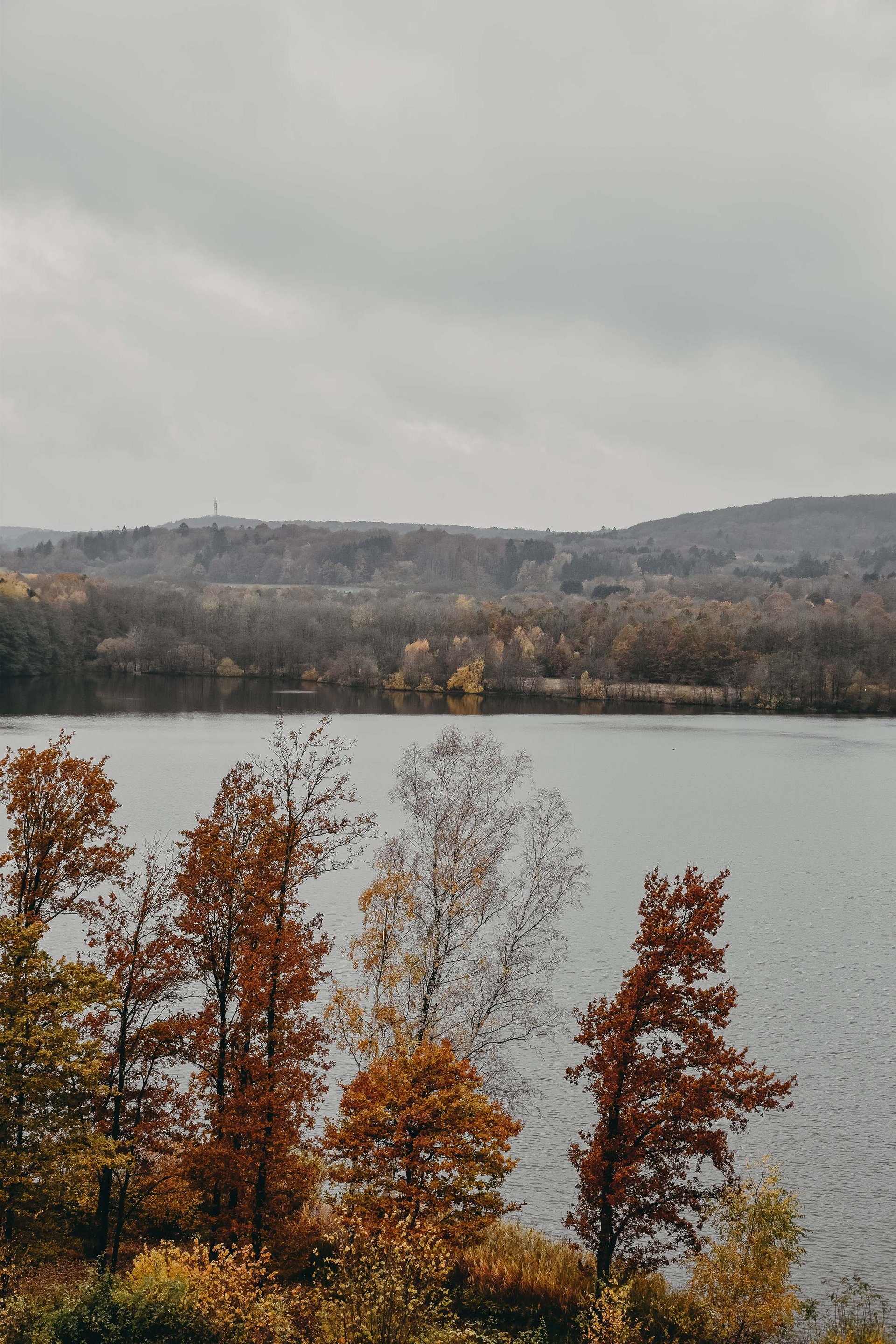 Seezeitlodge : Galerie photos Arbres d'automne au bord d'un lac sous un ciel nuageux