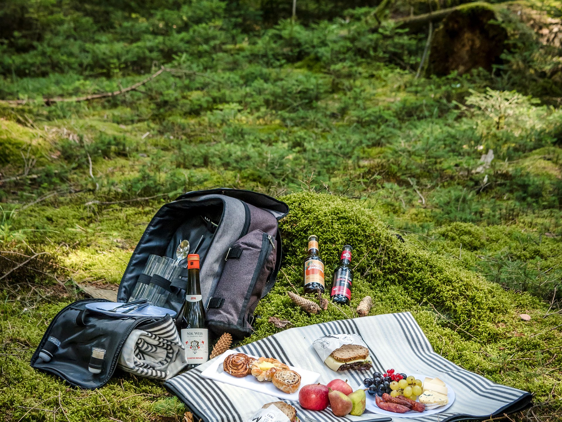 Seezeitlodge: Bildergalerie Picknick mit Essen und Getränken auf einer Decke im grünen Wald
