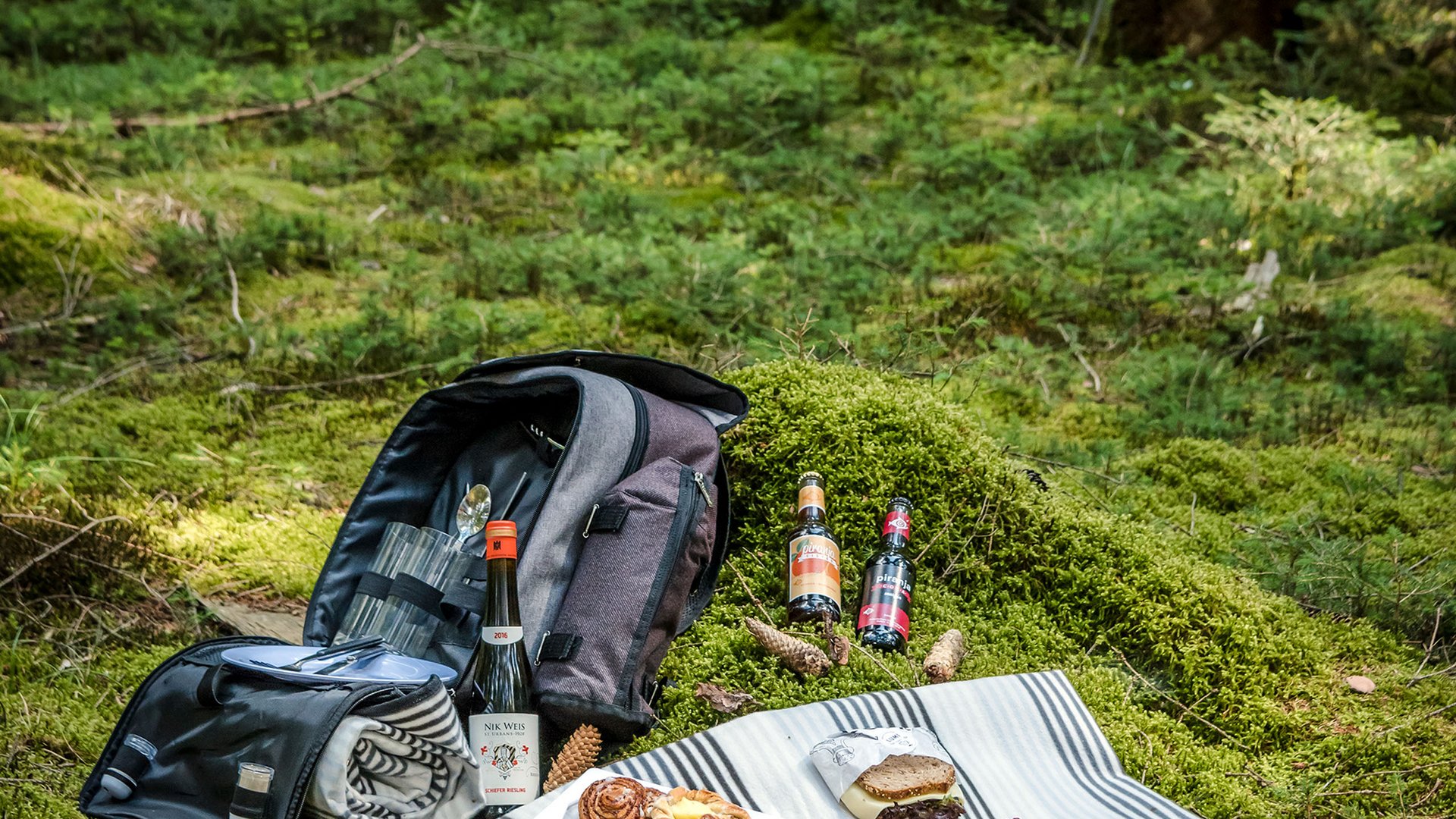 Seezeitlodge: Bildergalerie Picknick mit Essen und Getränken auf einer Decke im grünen Wald