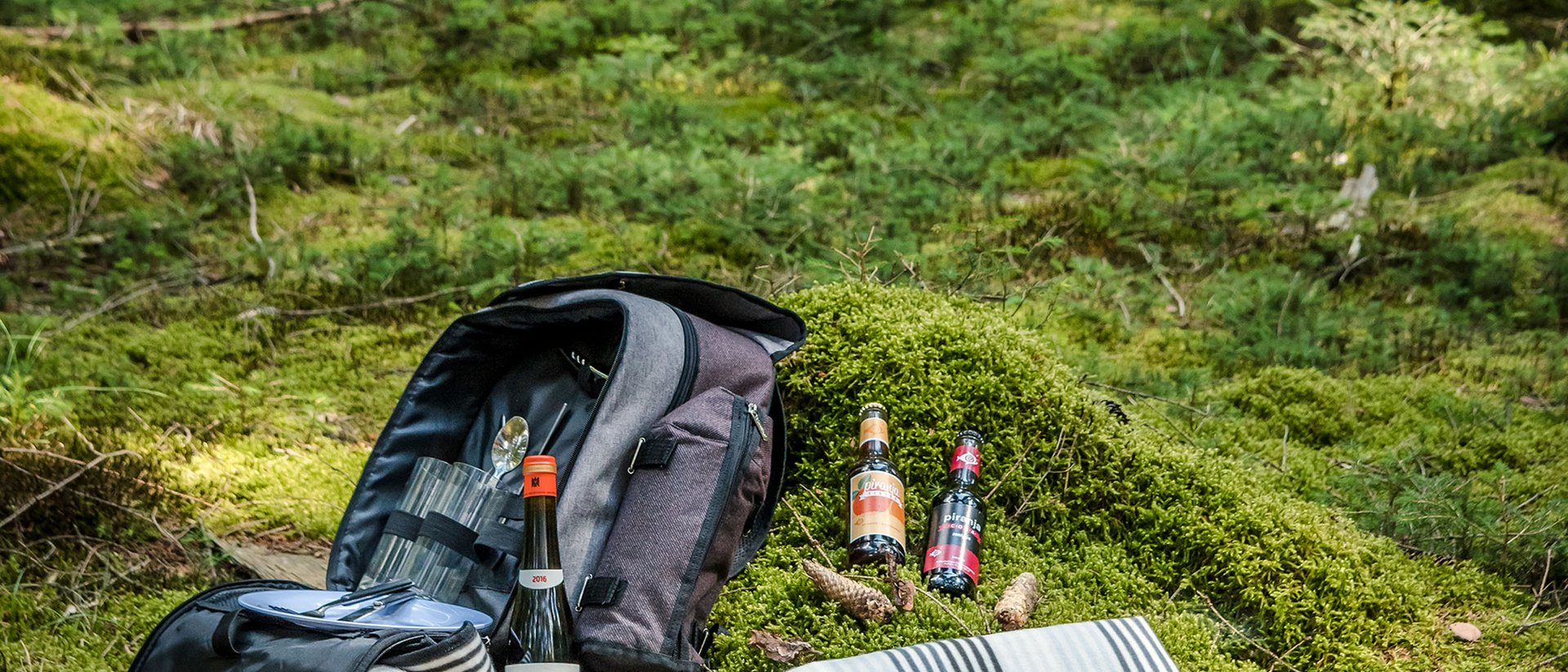 Seezeitlodge : Galerie photos Pique-nique avec nourriture et boissons sur une couverture dans la forêt